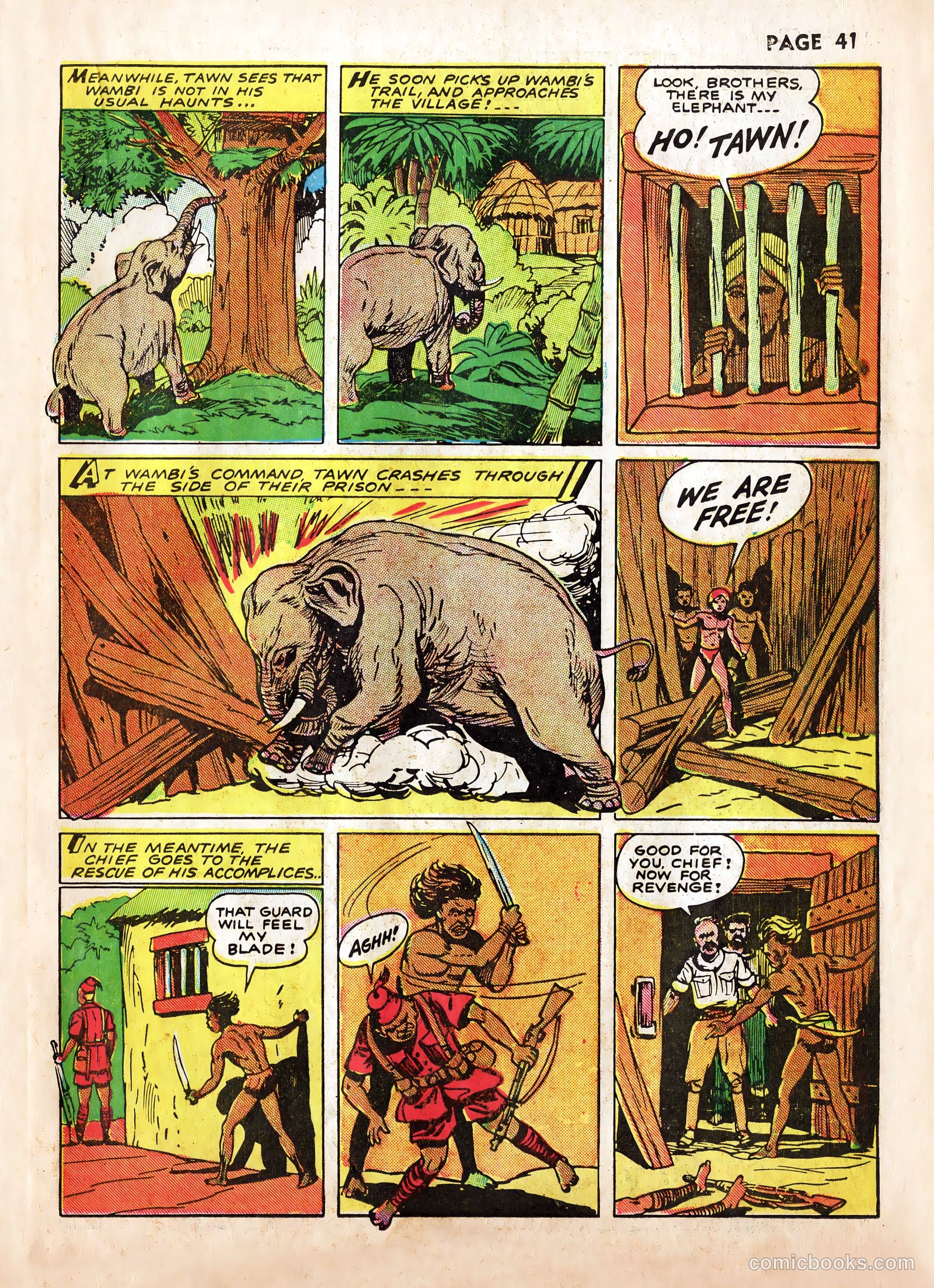 Wambi #2 — page 43 of 68