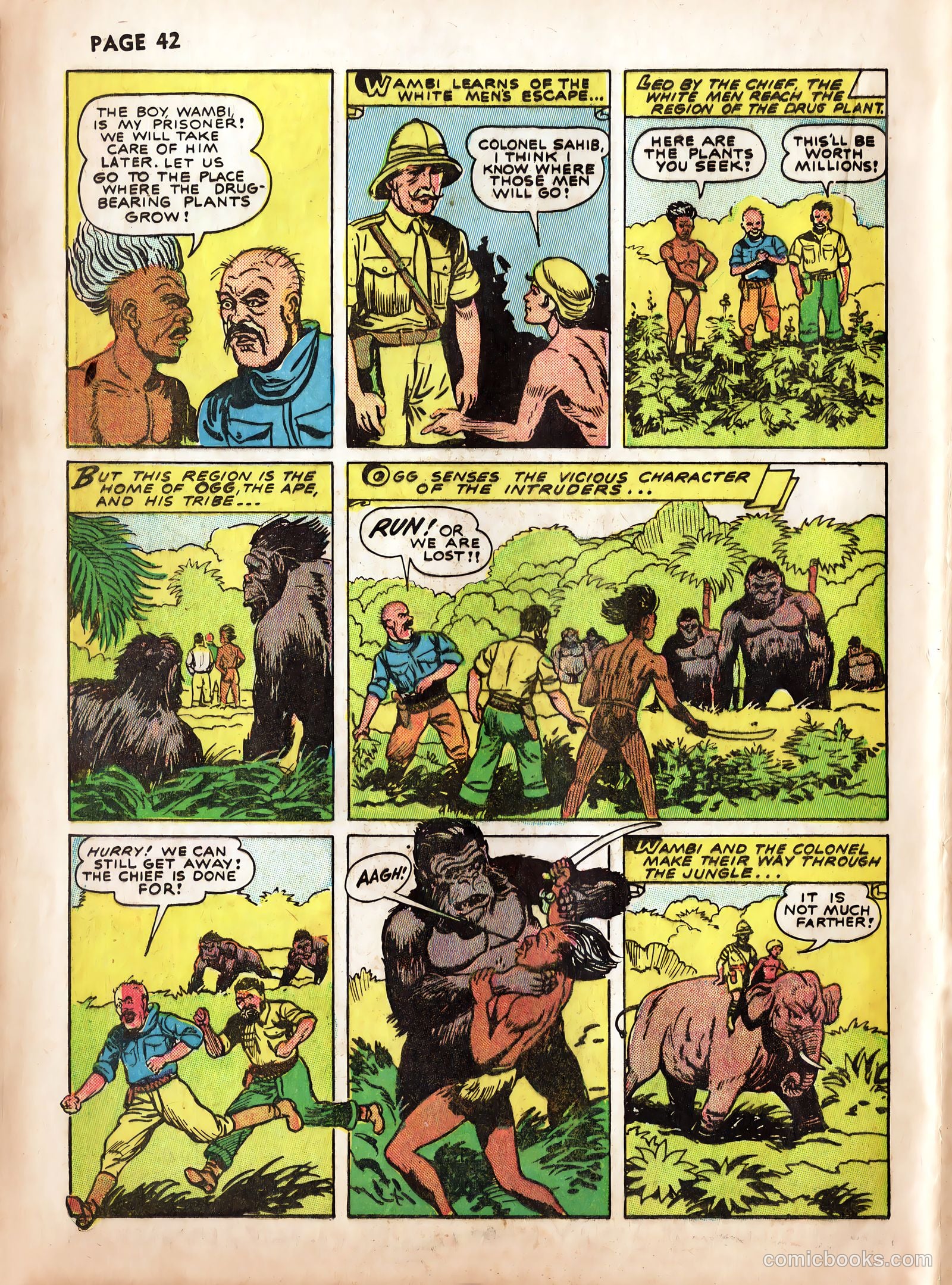 Wambi #2 — page 44 of 68