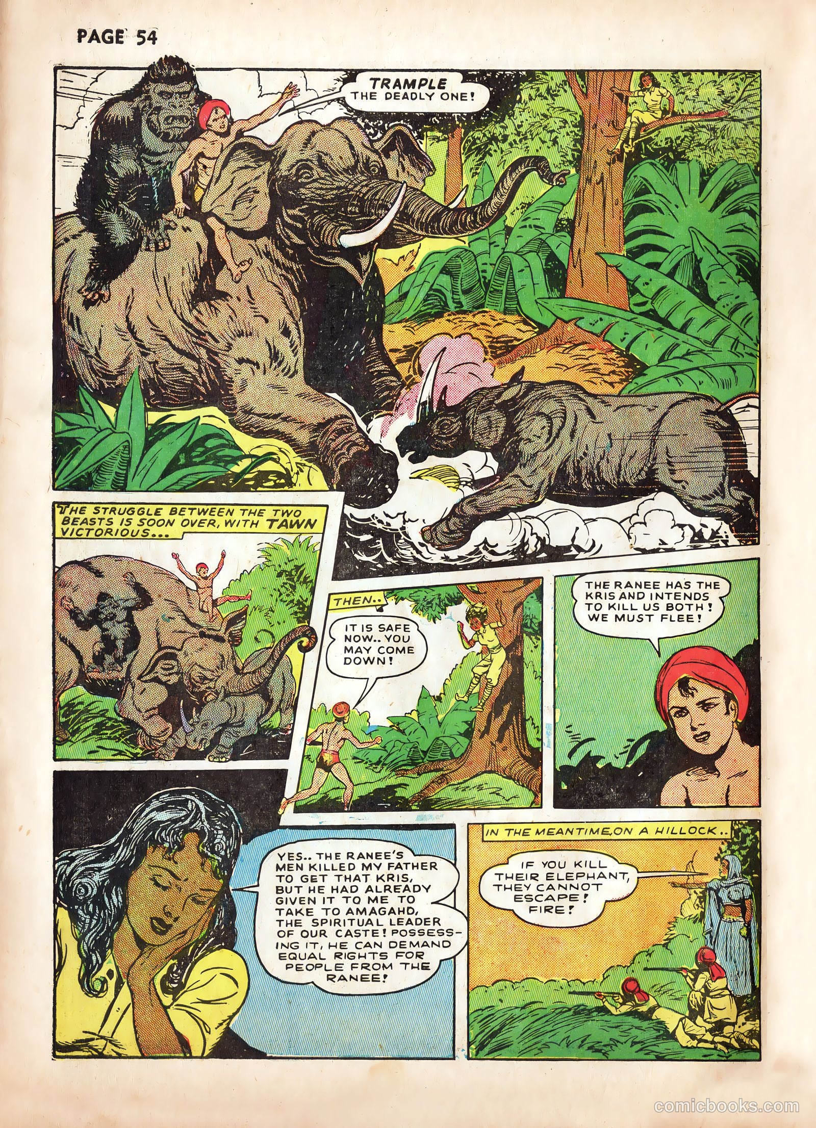 Wambi #2 — page 56 of 68