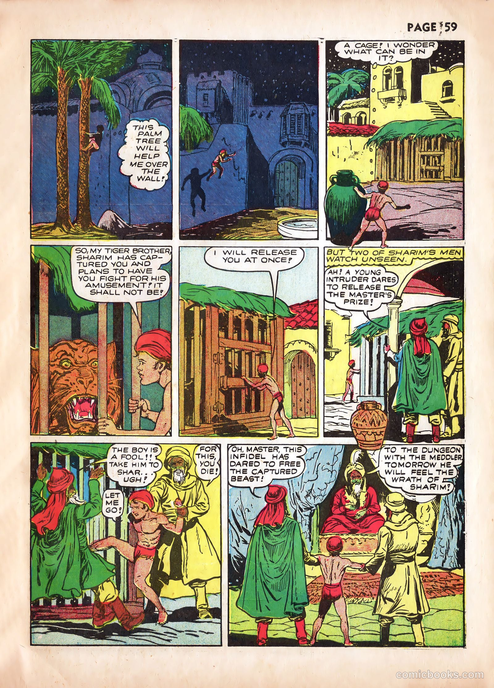 Wambi #2 — page 61 of 68