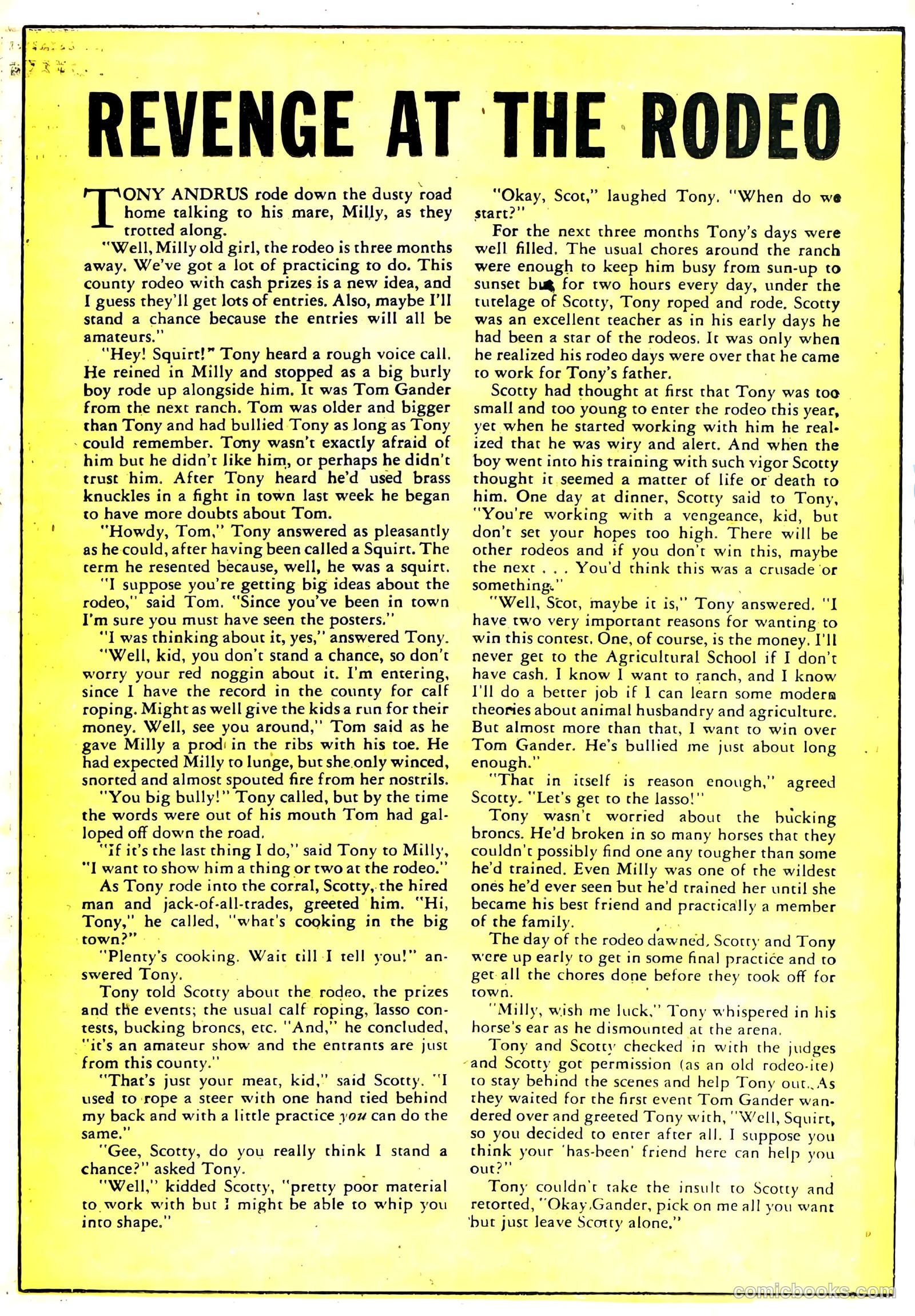 Black Diamond Western #22 — page 29 of 52