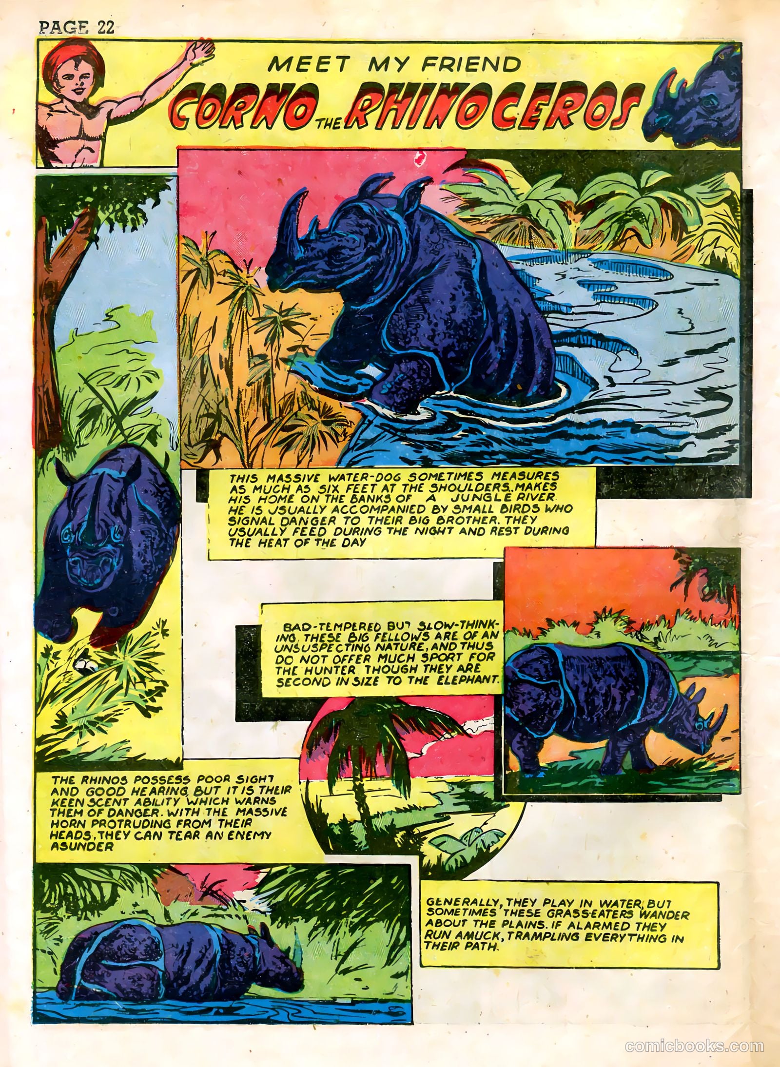 Wambi #3 — page 24 of 68