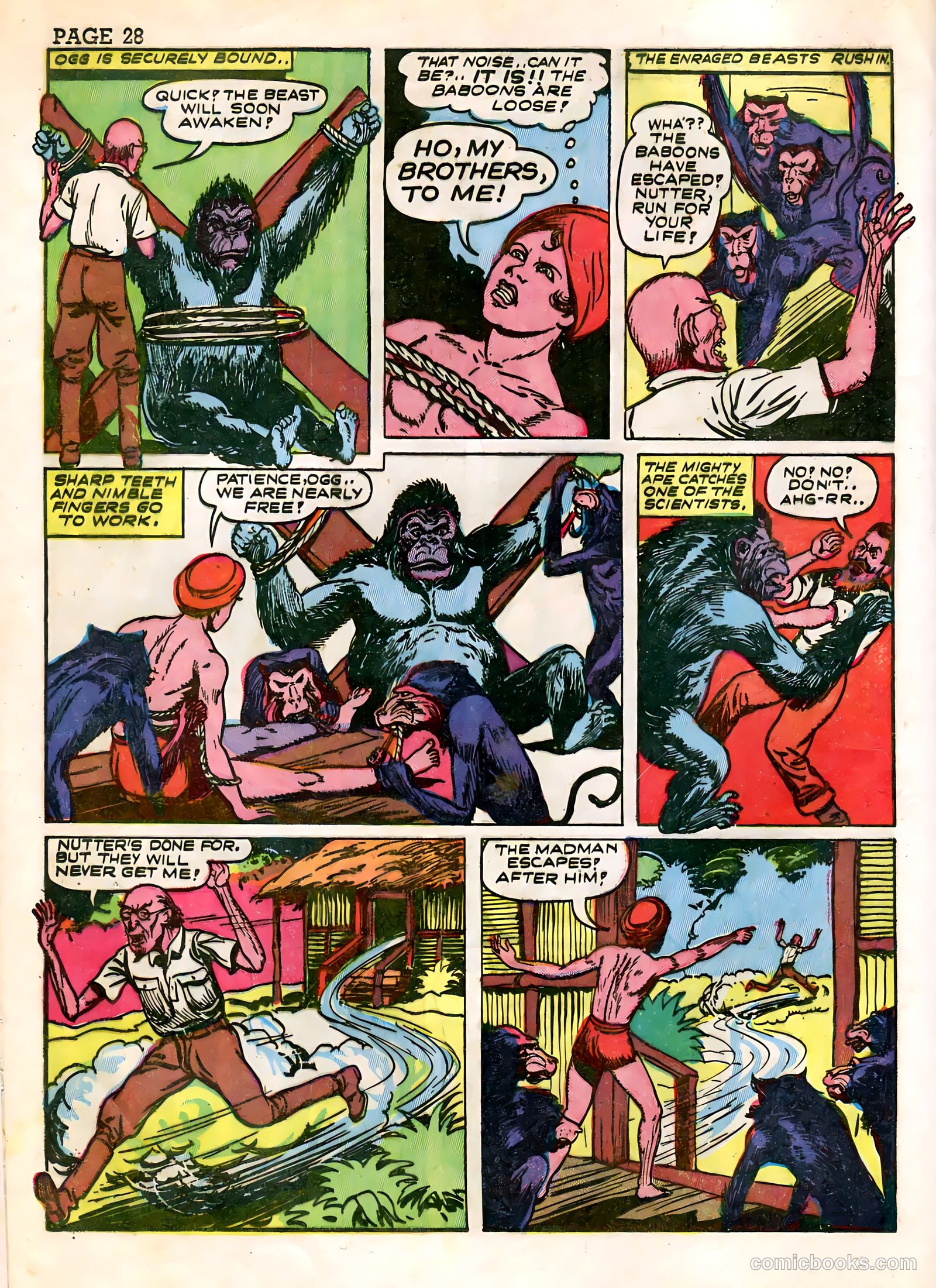 Wambi #3 — page 30 of 68