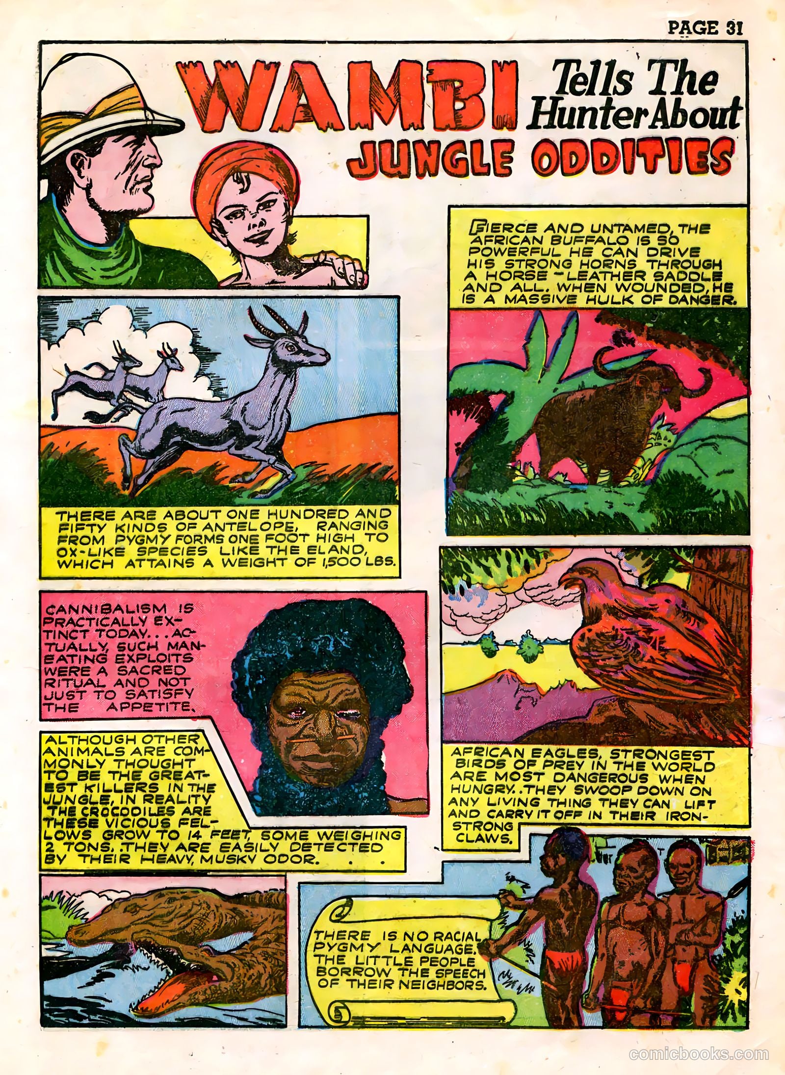 Wambi #3 — page 33 of 68
