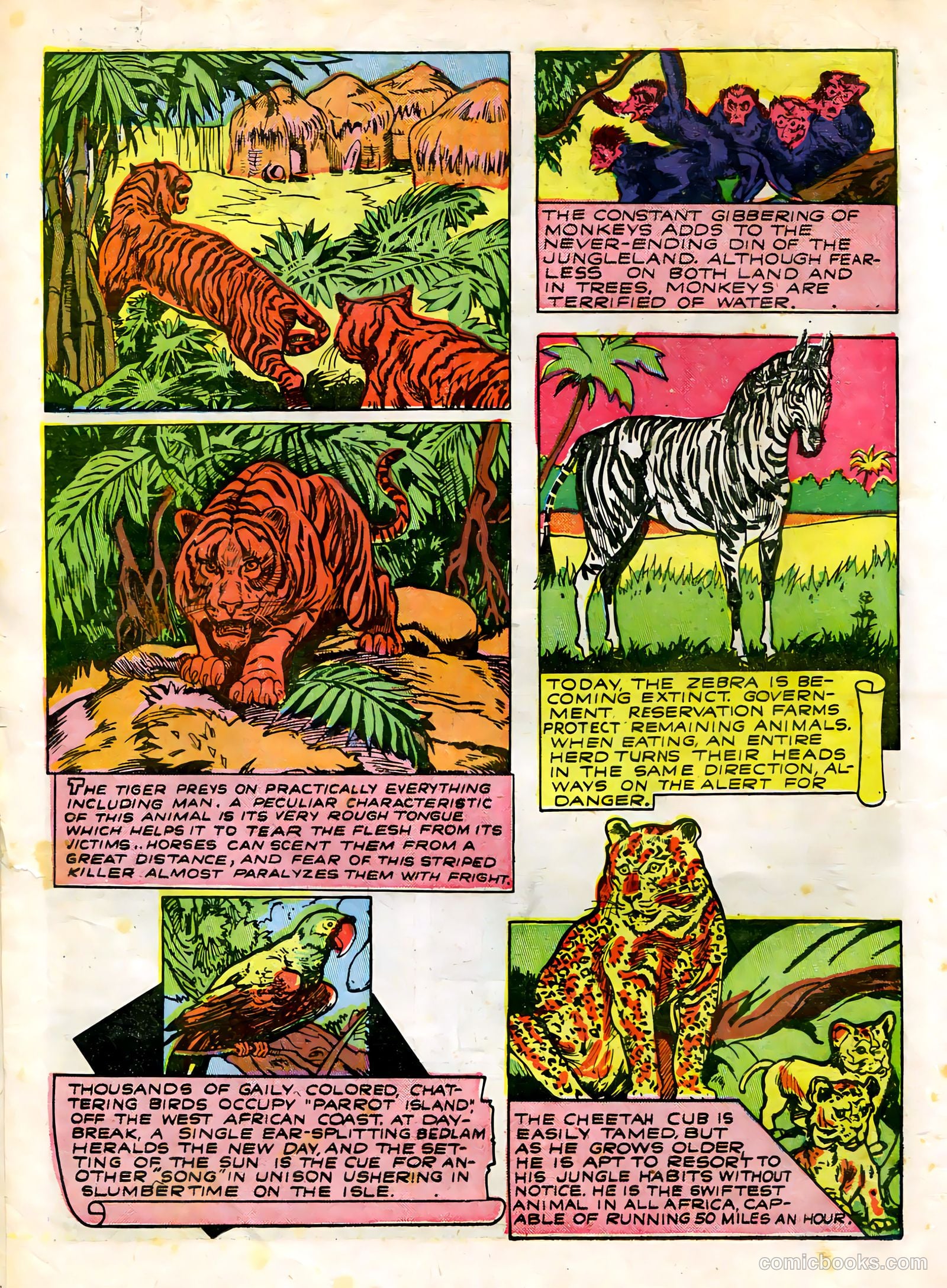 Wambi #3 — page 34 of 68