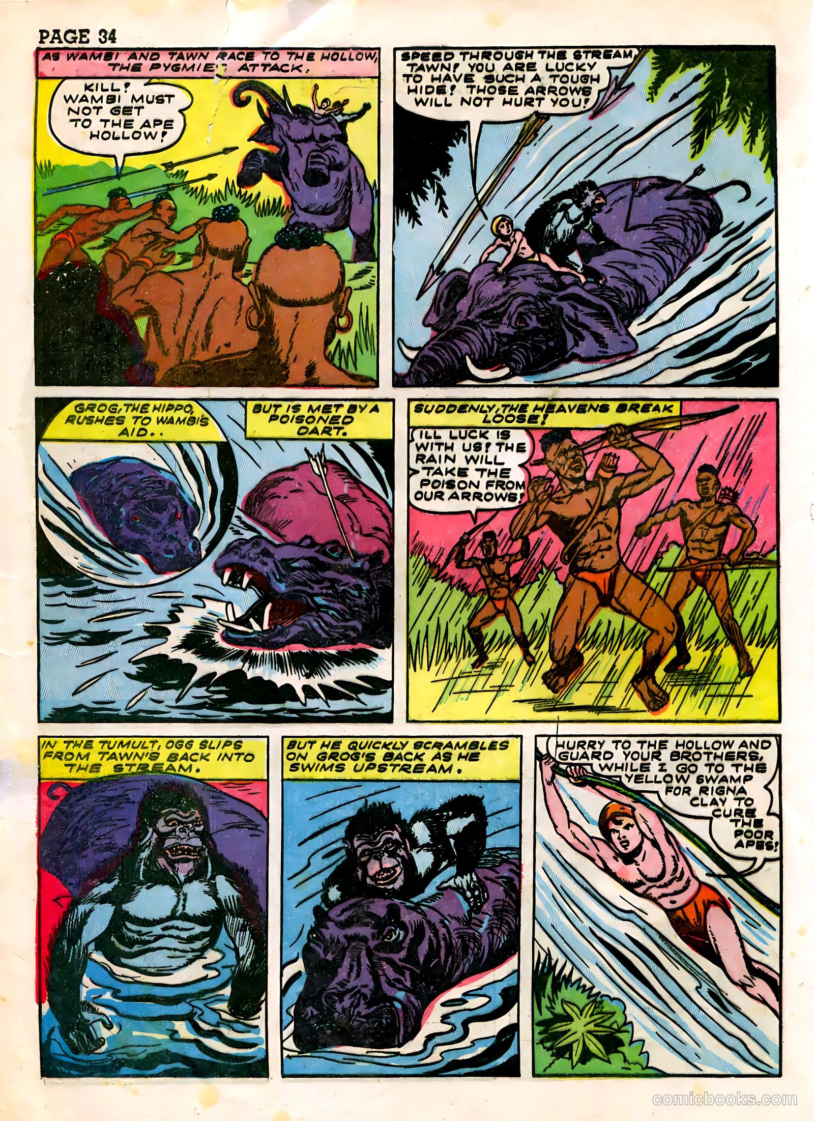 Wambi #3 — page 36 of 68