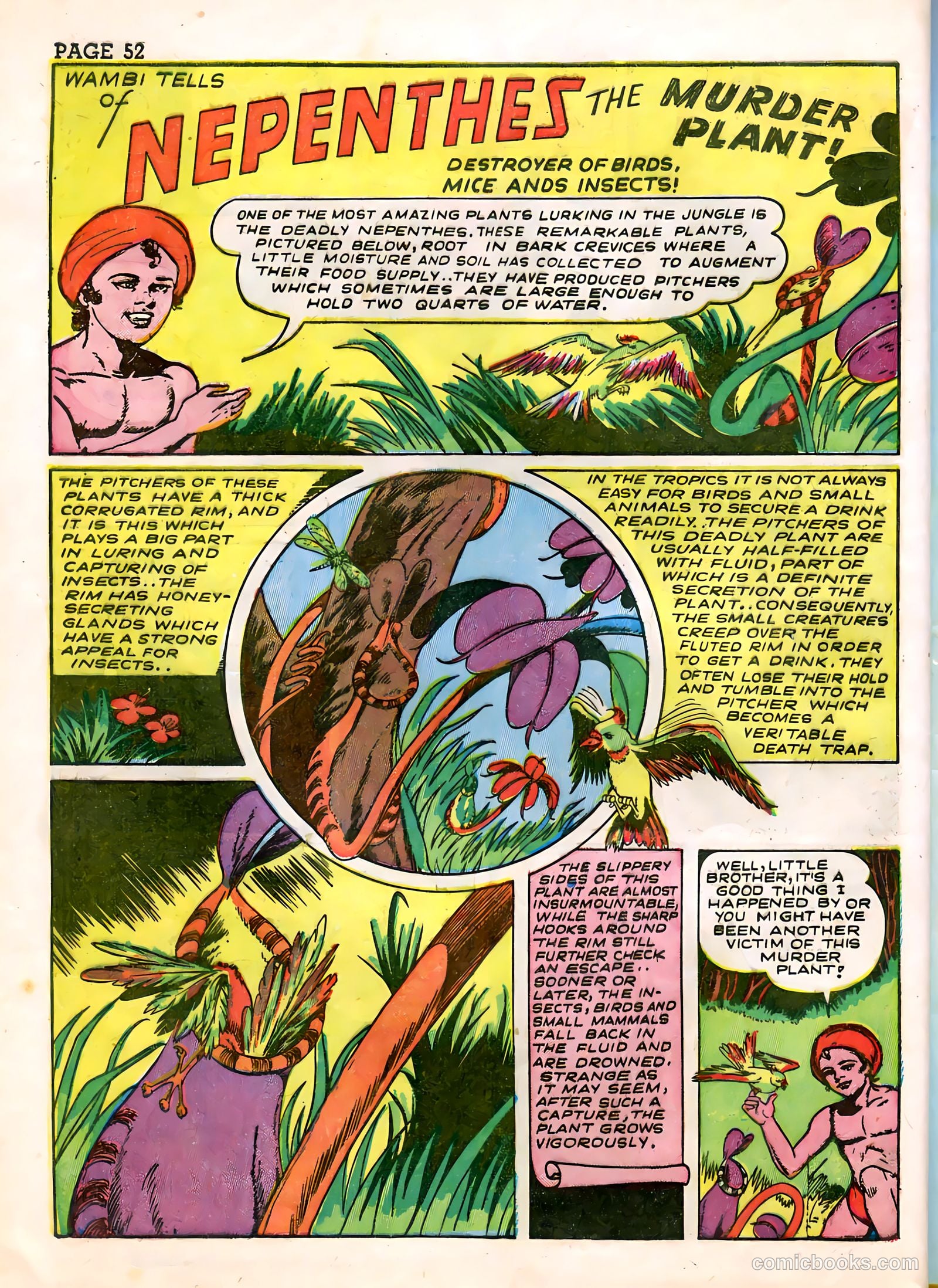 Wambi #3 — page 54 of 68