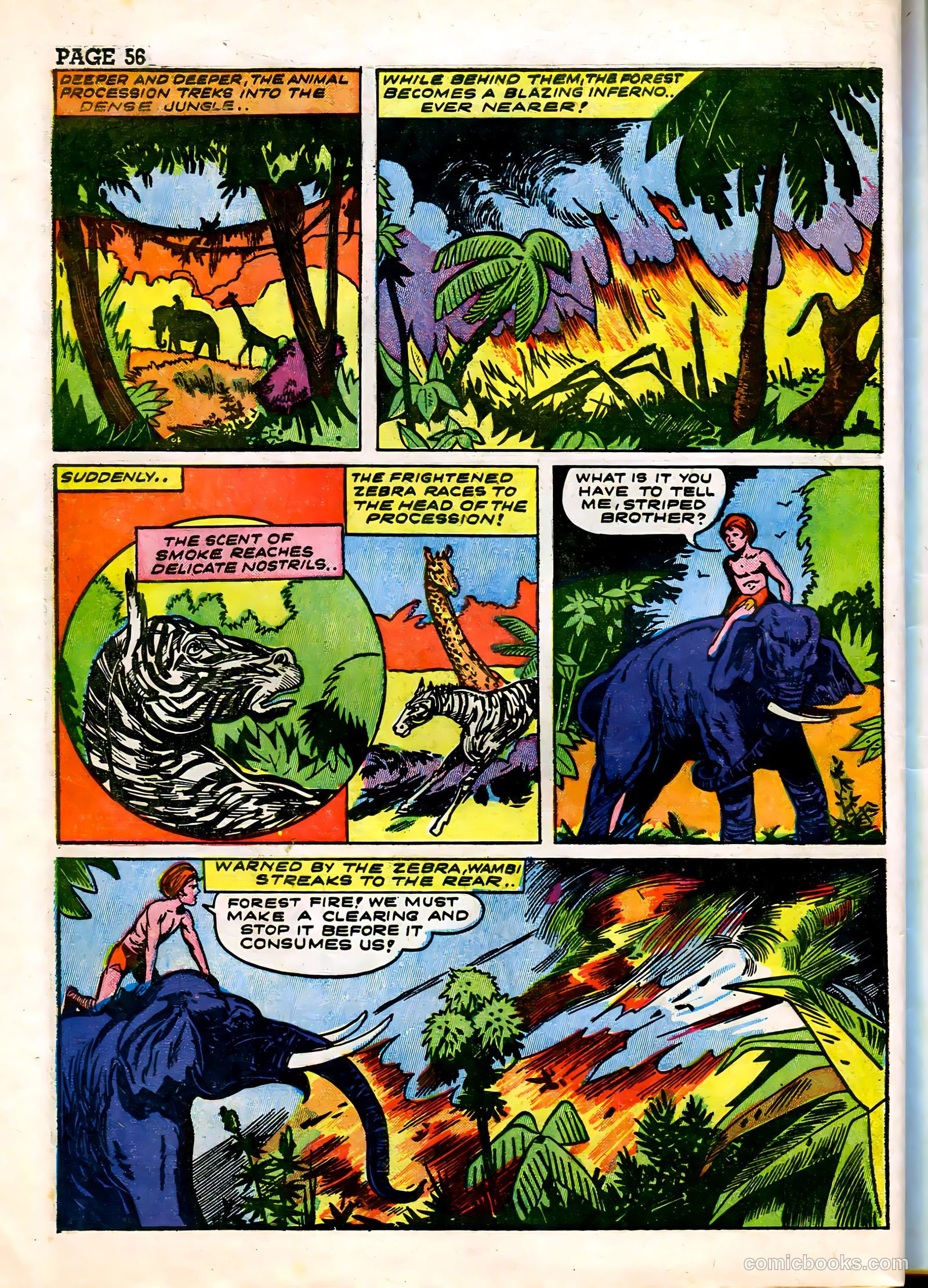 Wambi #3 — page 58 of 68