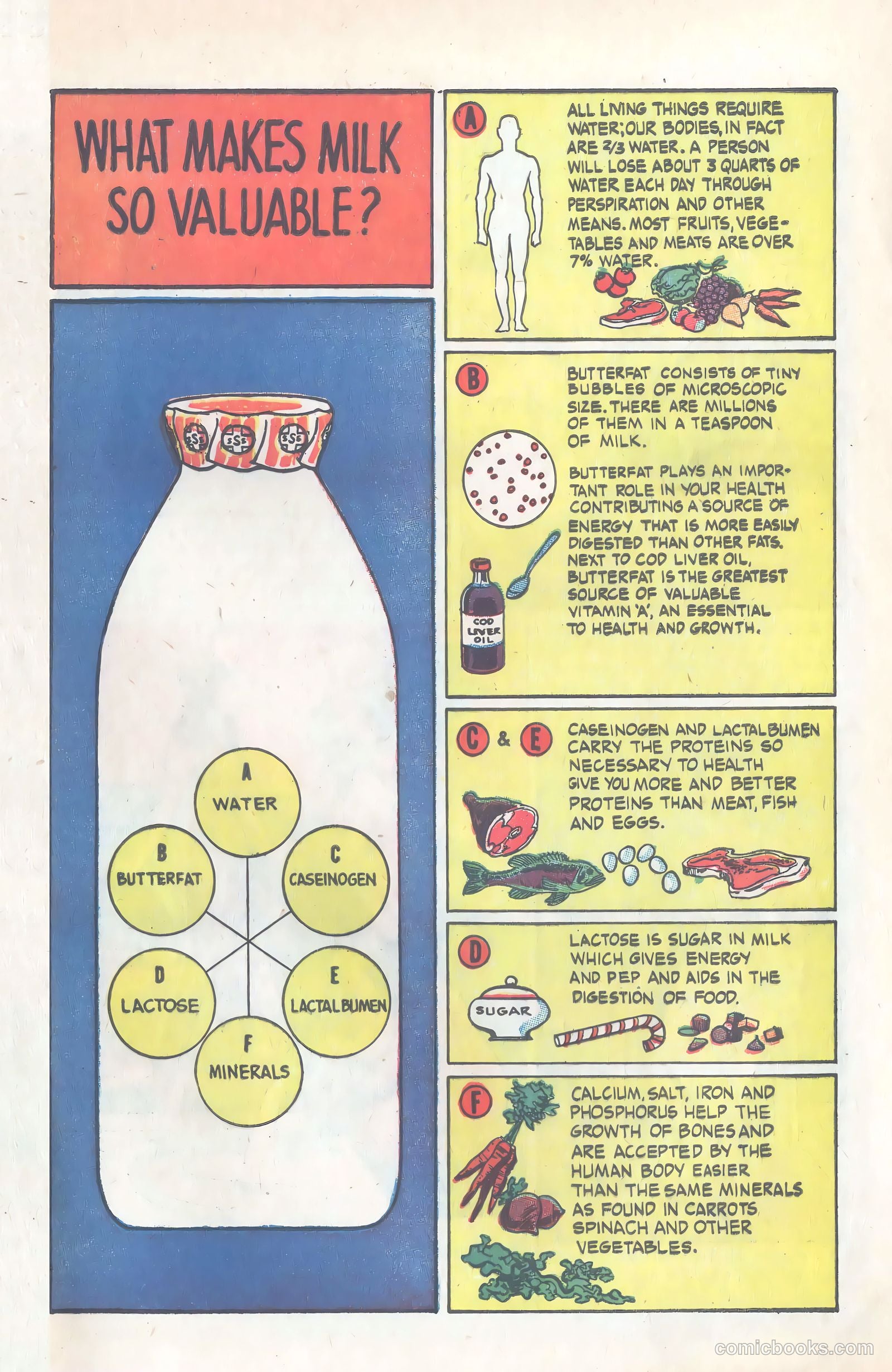 Amazing But True: Facts About Milk and Milk Protection #nn — page 3 of 16