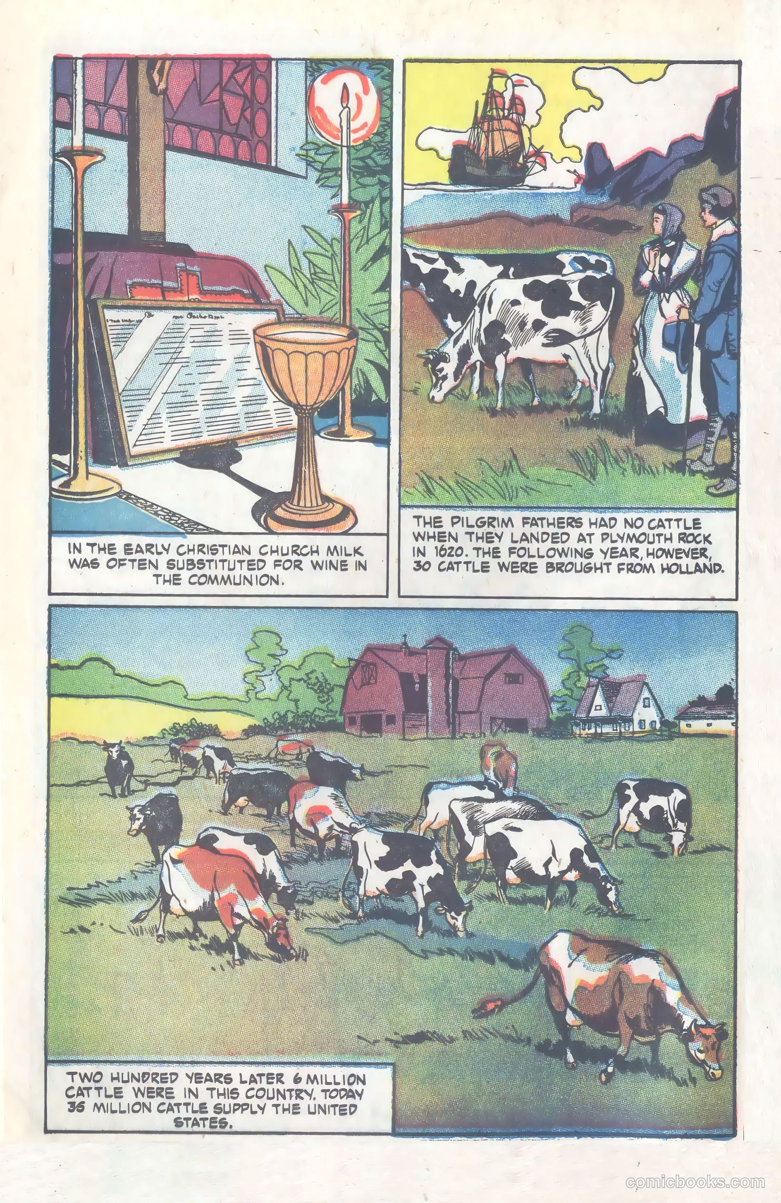 Amazing But True: Facts About Milk and Milk Protection #nn — page 6 of 16