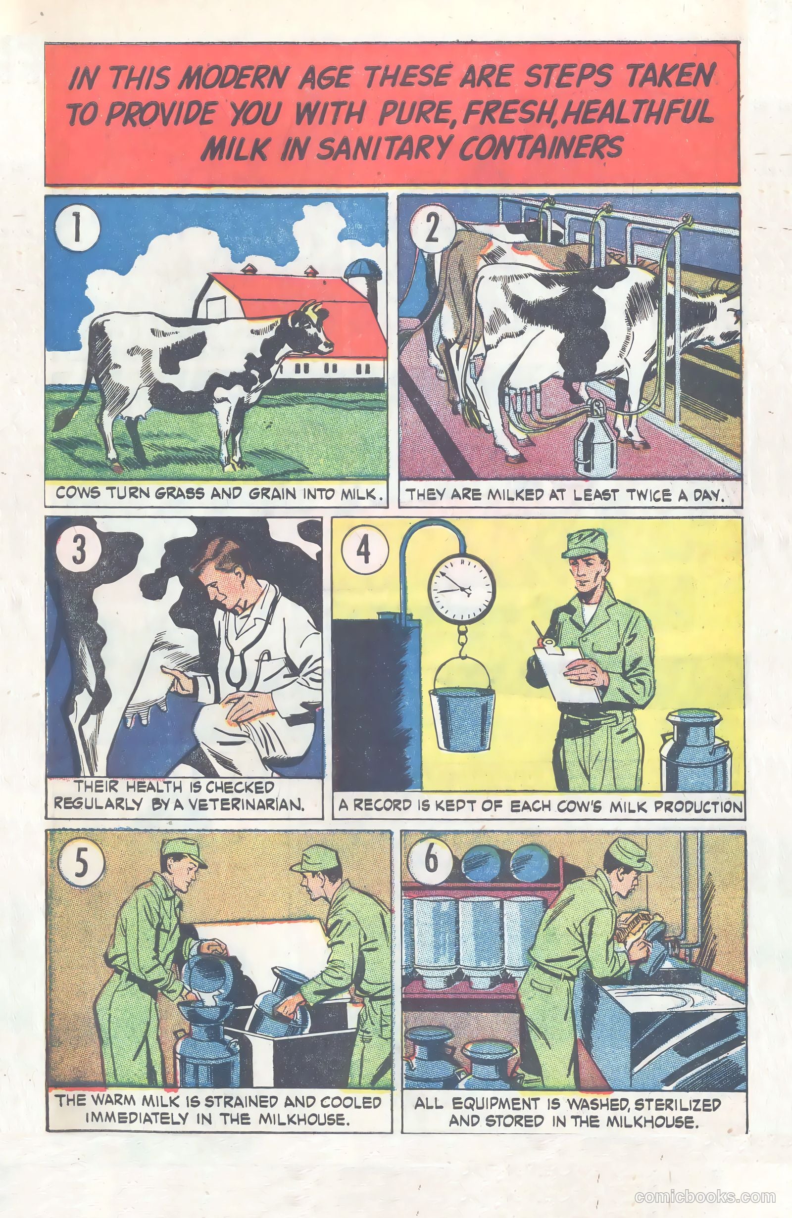 Amazing But True: Facts About Milk and Milk Protection #nn — page 13 of 16