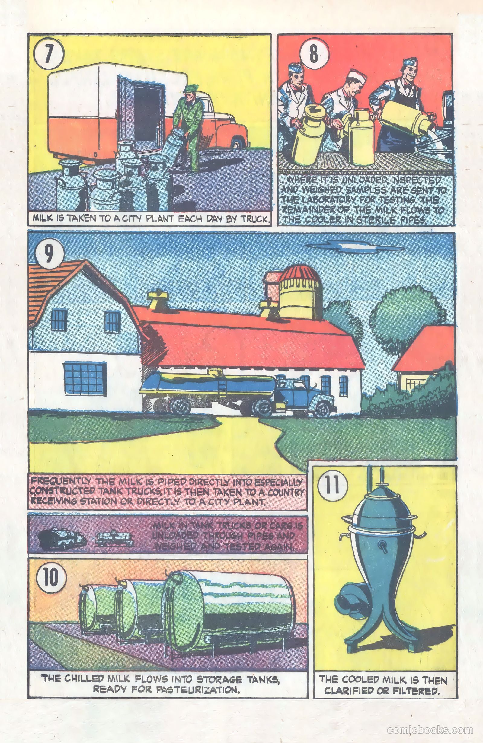 Amazing But True: Facts About Milk and Milk Protection #nn — page 14 of 16