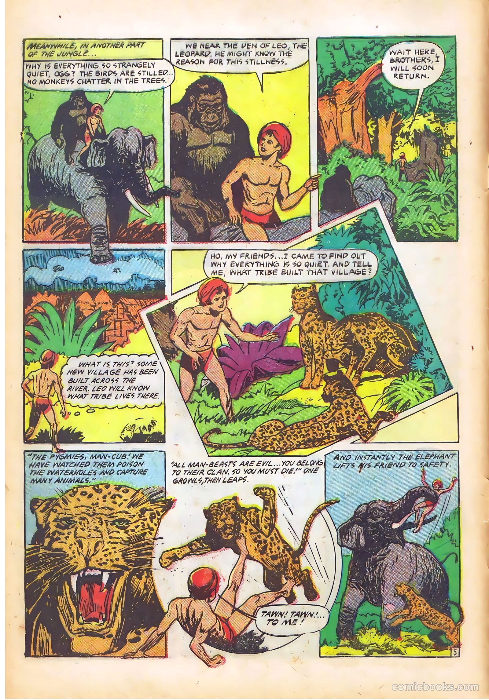Wambi #14 — page 8 of 36