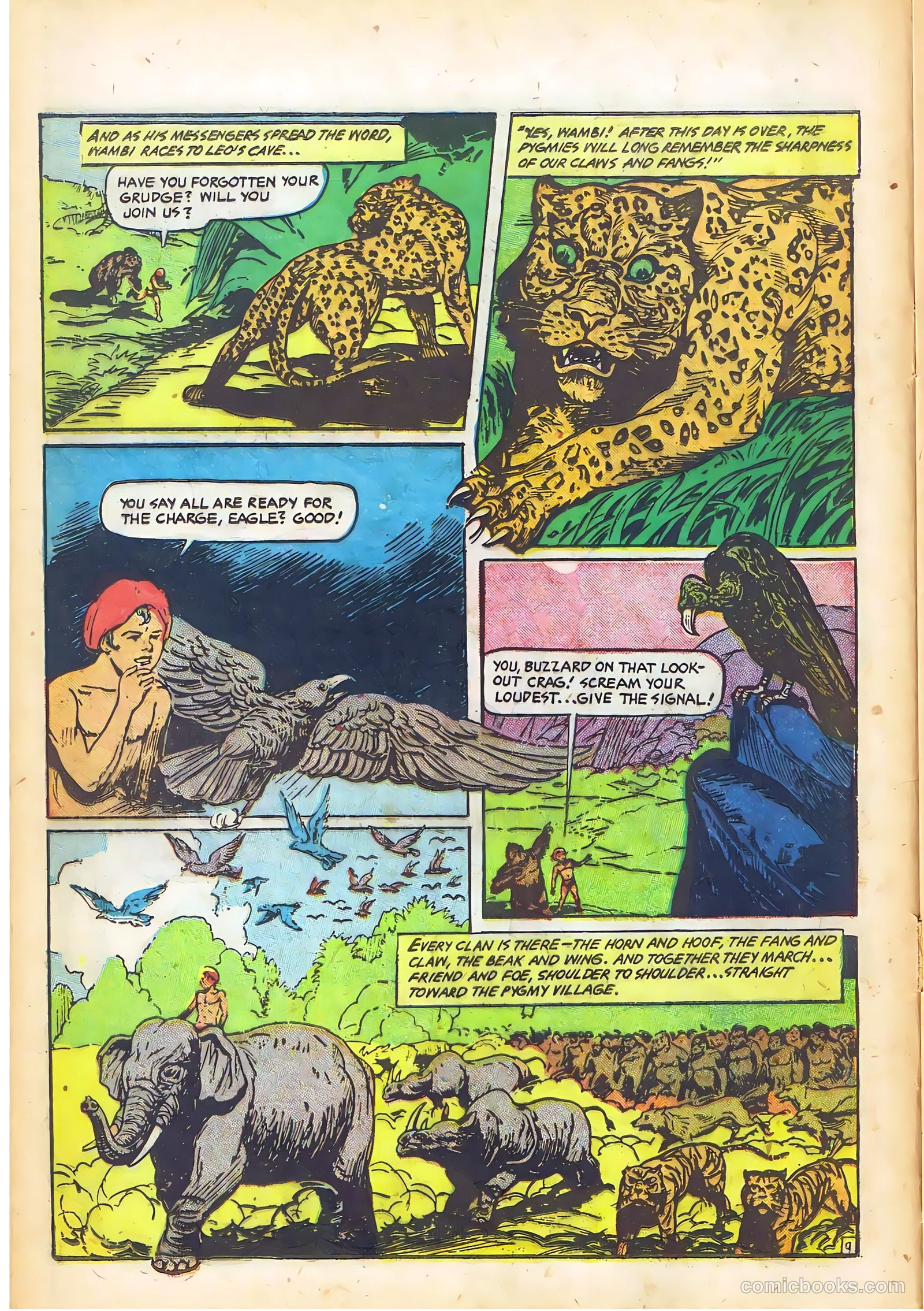 Wambi #14 — page 12 of 36