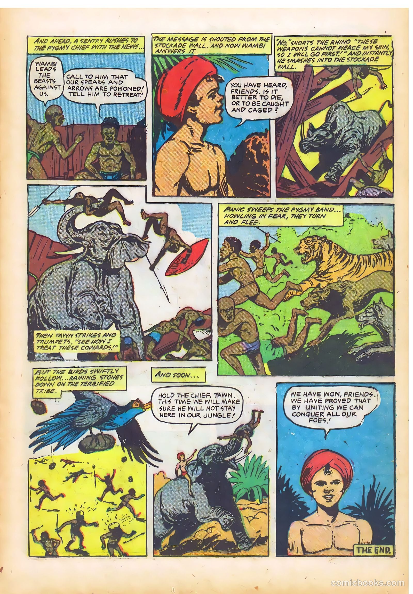Wambi #14 — page 13 of 36
