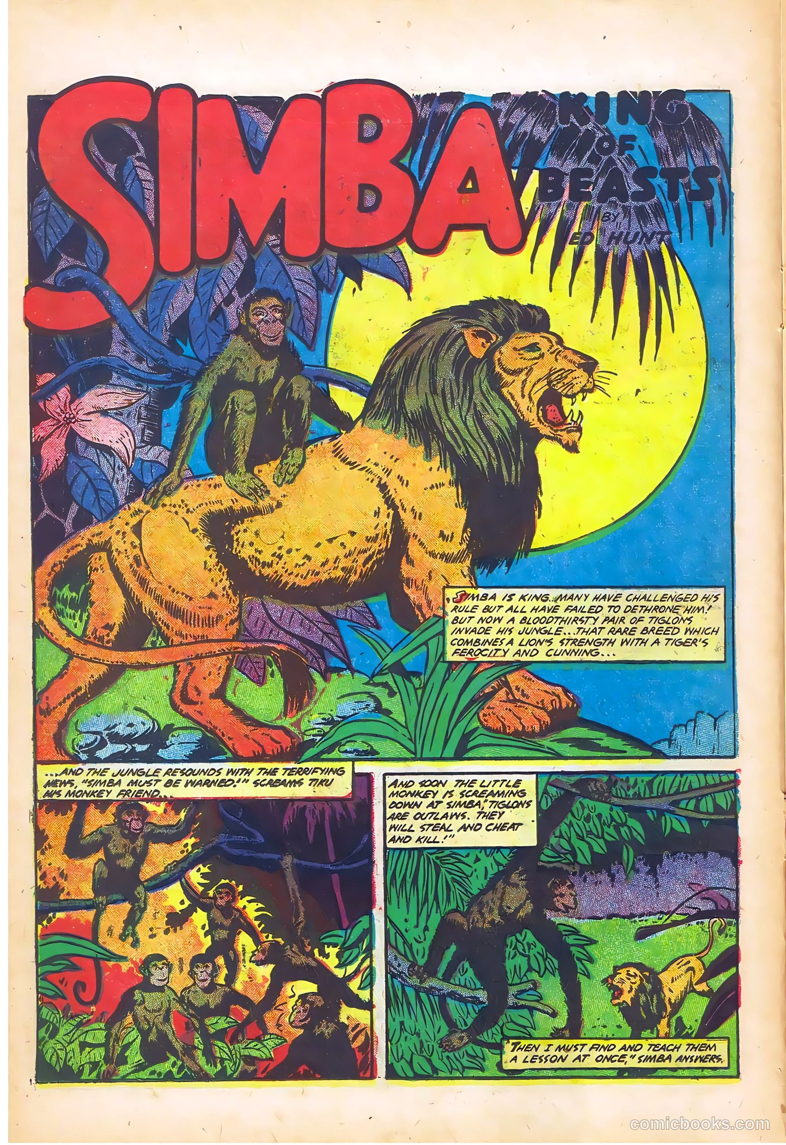 Wambi #14 — page 14 of 36