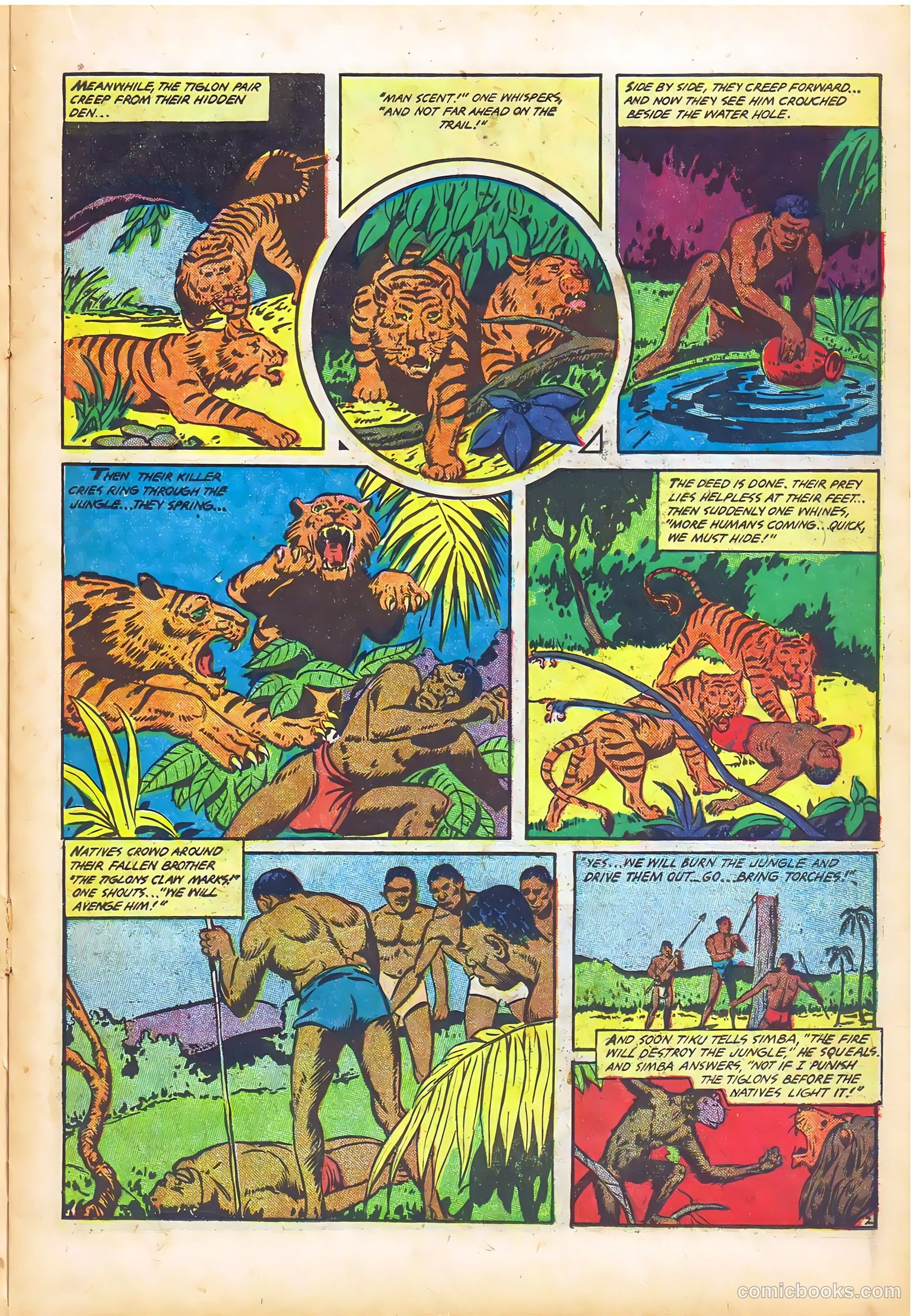 Wambi #14 — page 15 of 36