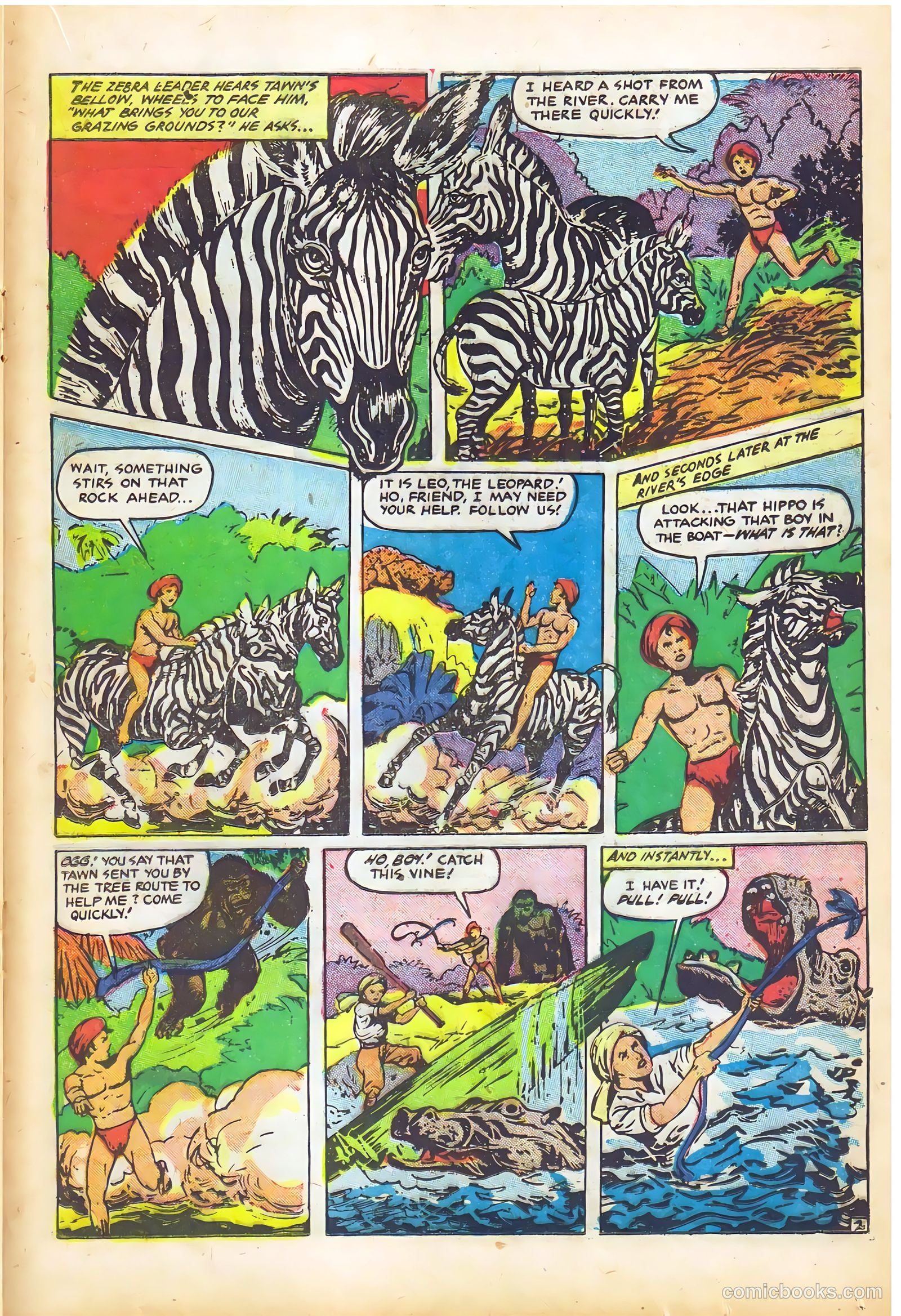 Wambi #14 — page 21 of 36