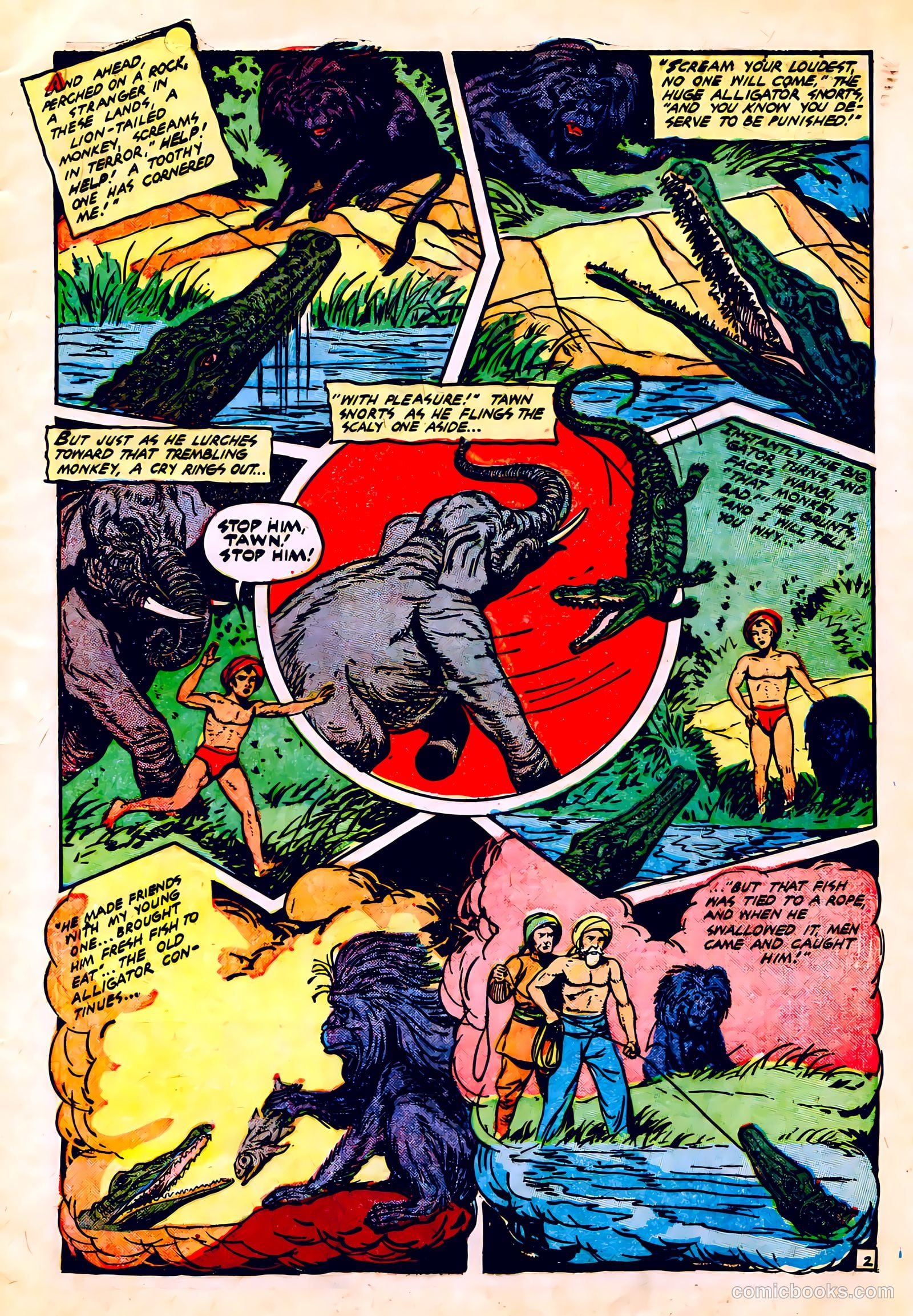 Wambi #13 — page 5 of 36