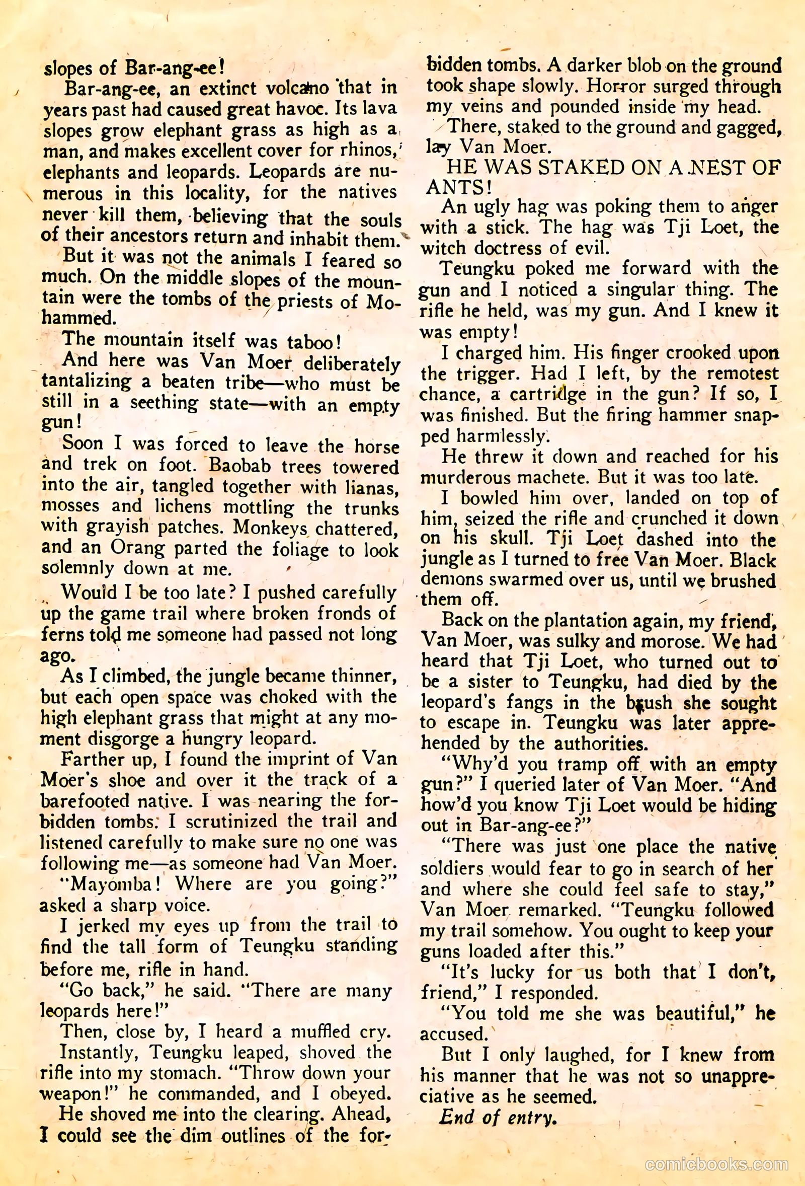 Wambi #13 — page 17 of 36