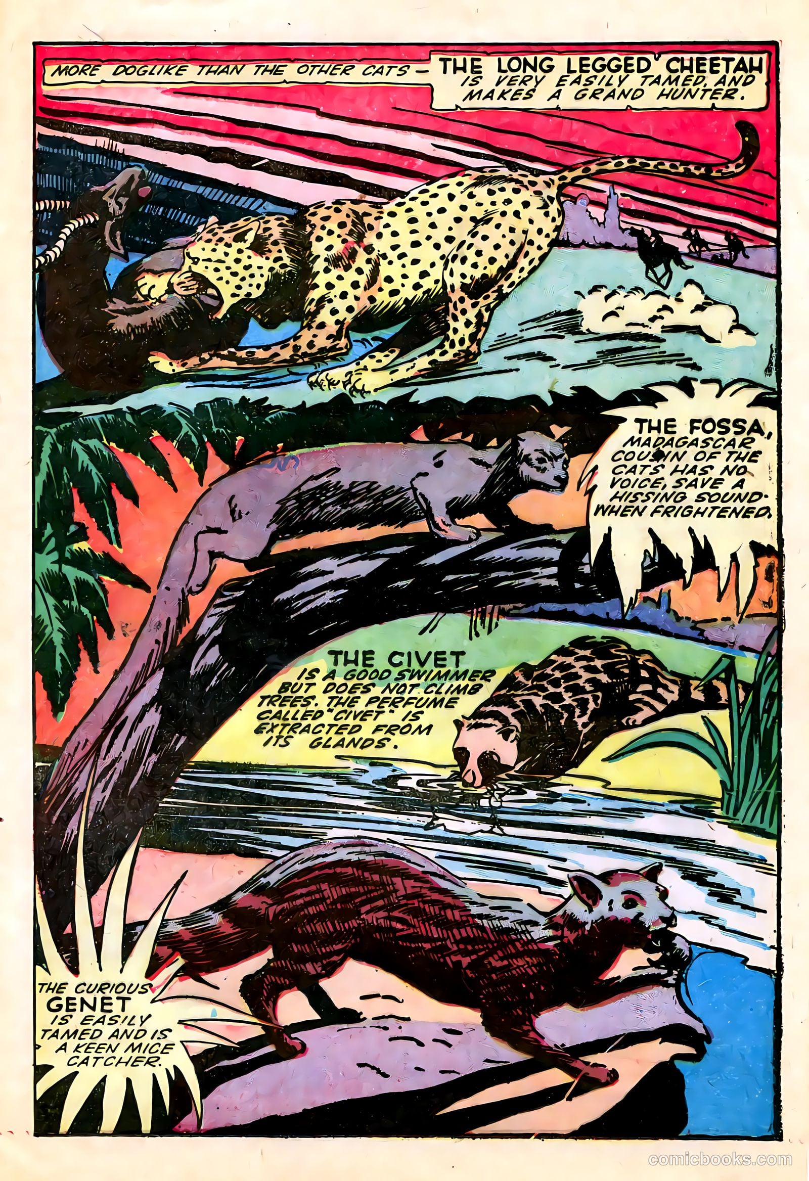 Wambi #13 — page 25 of 36