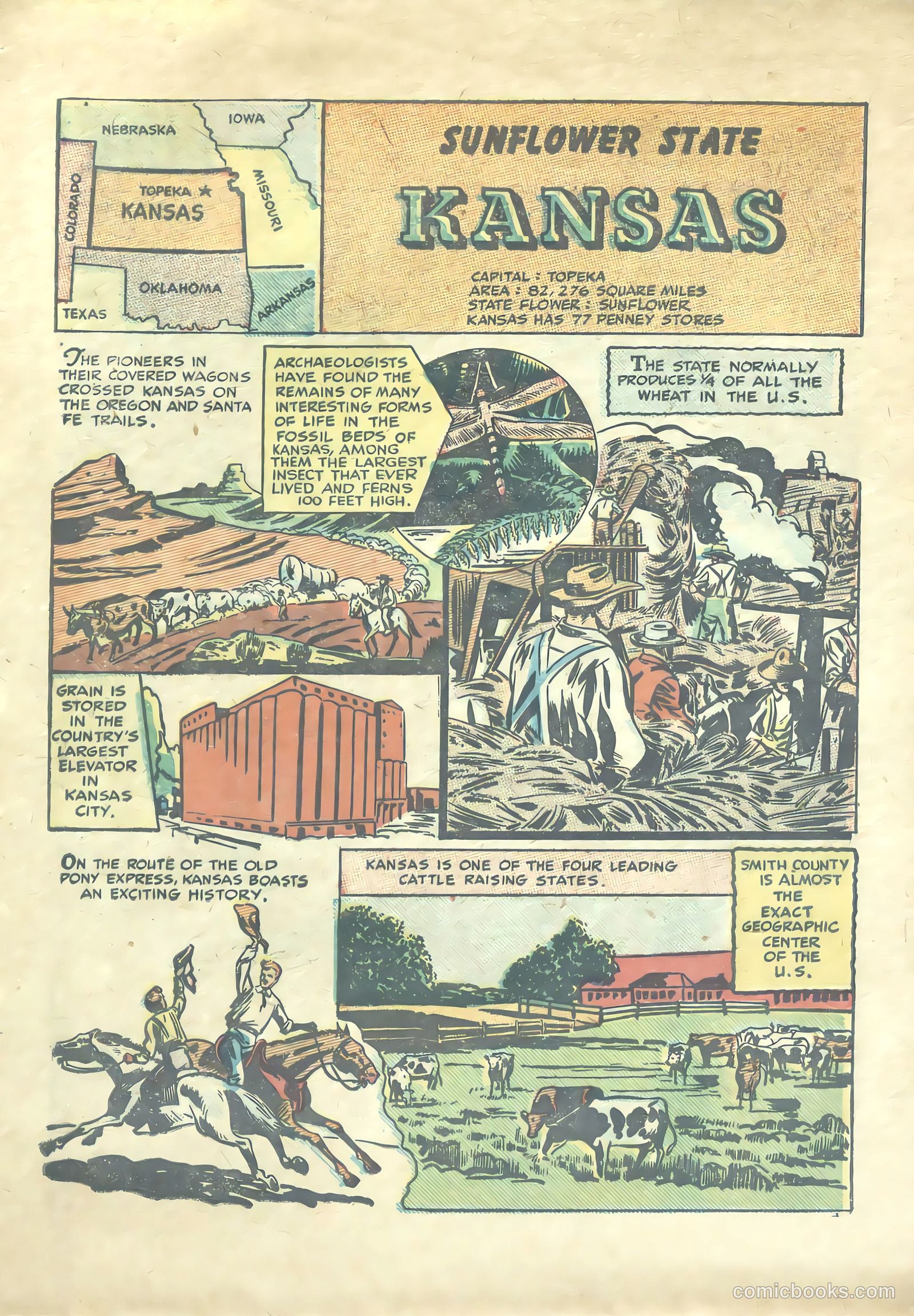 Our United States #nn — page 16 of 52