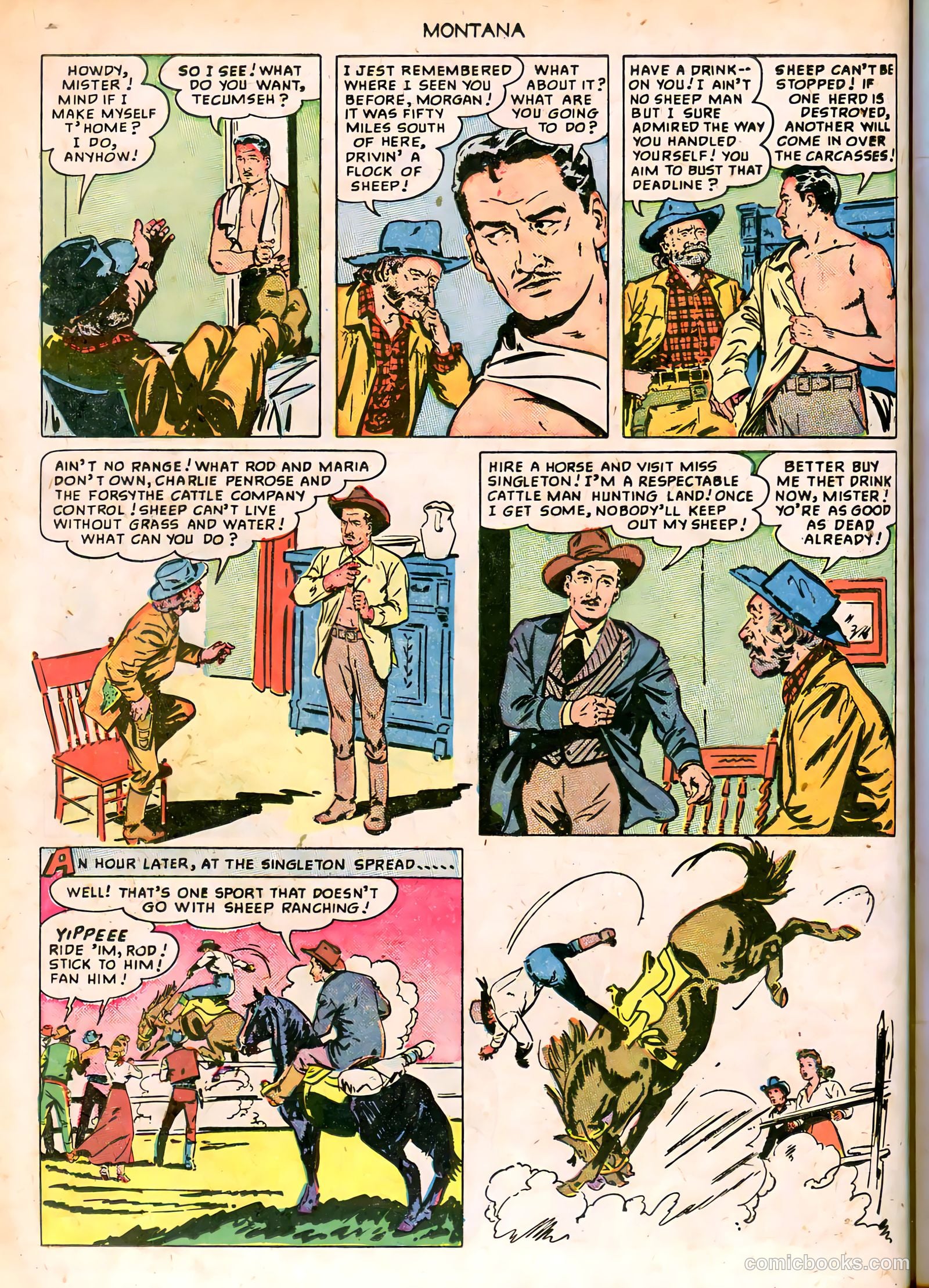 Montana #nn — page 14 of 36