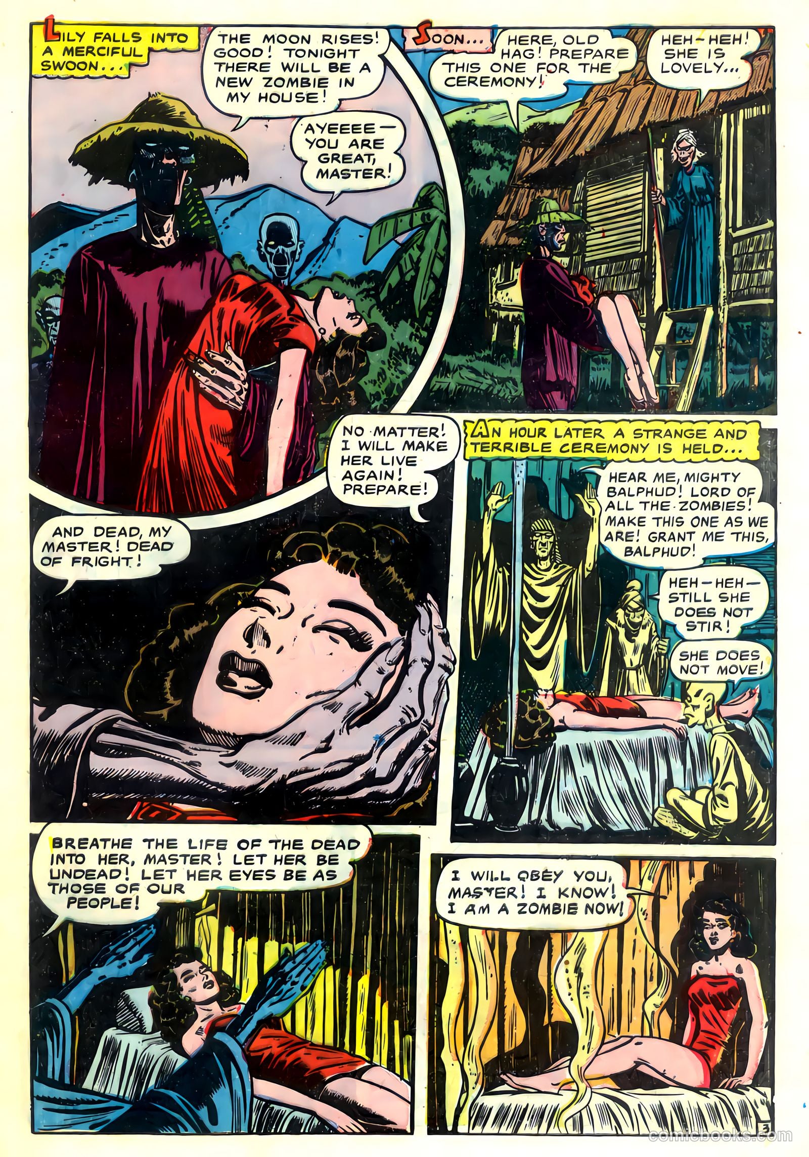 Voodoo #2 — page 5 of 36