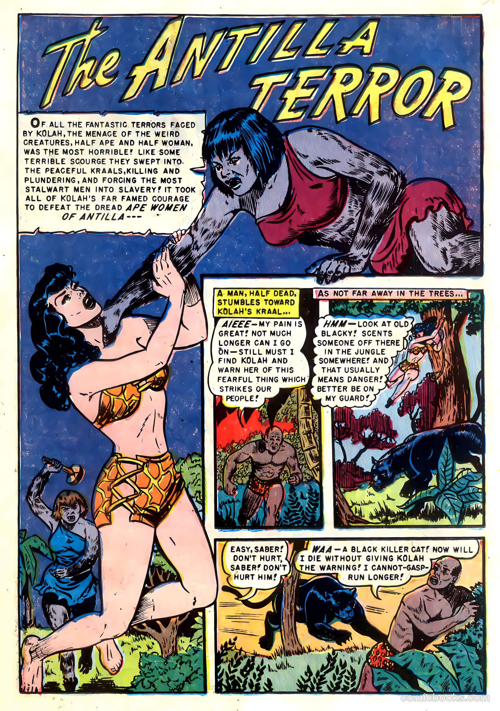 Voodoo #2 — page 11 of 36
