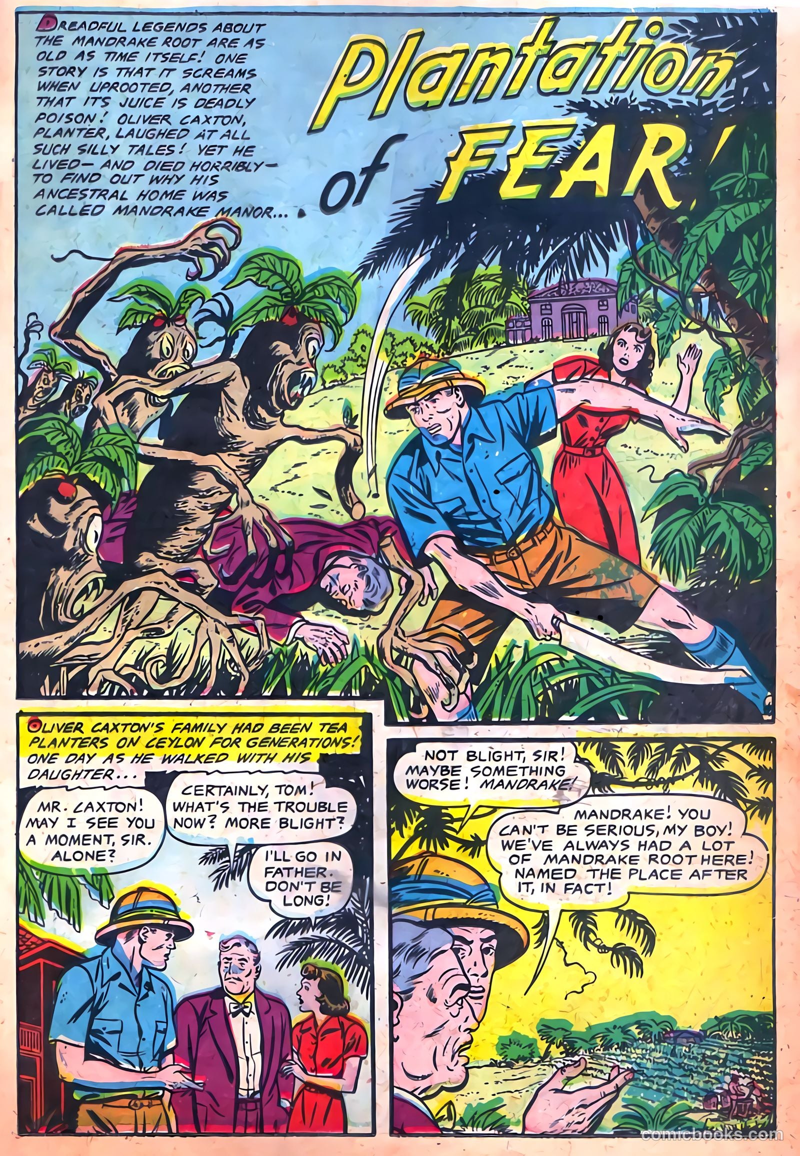 Voodoo #3 — page 11 of 36