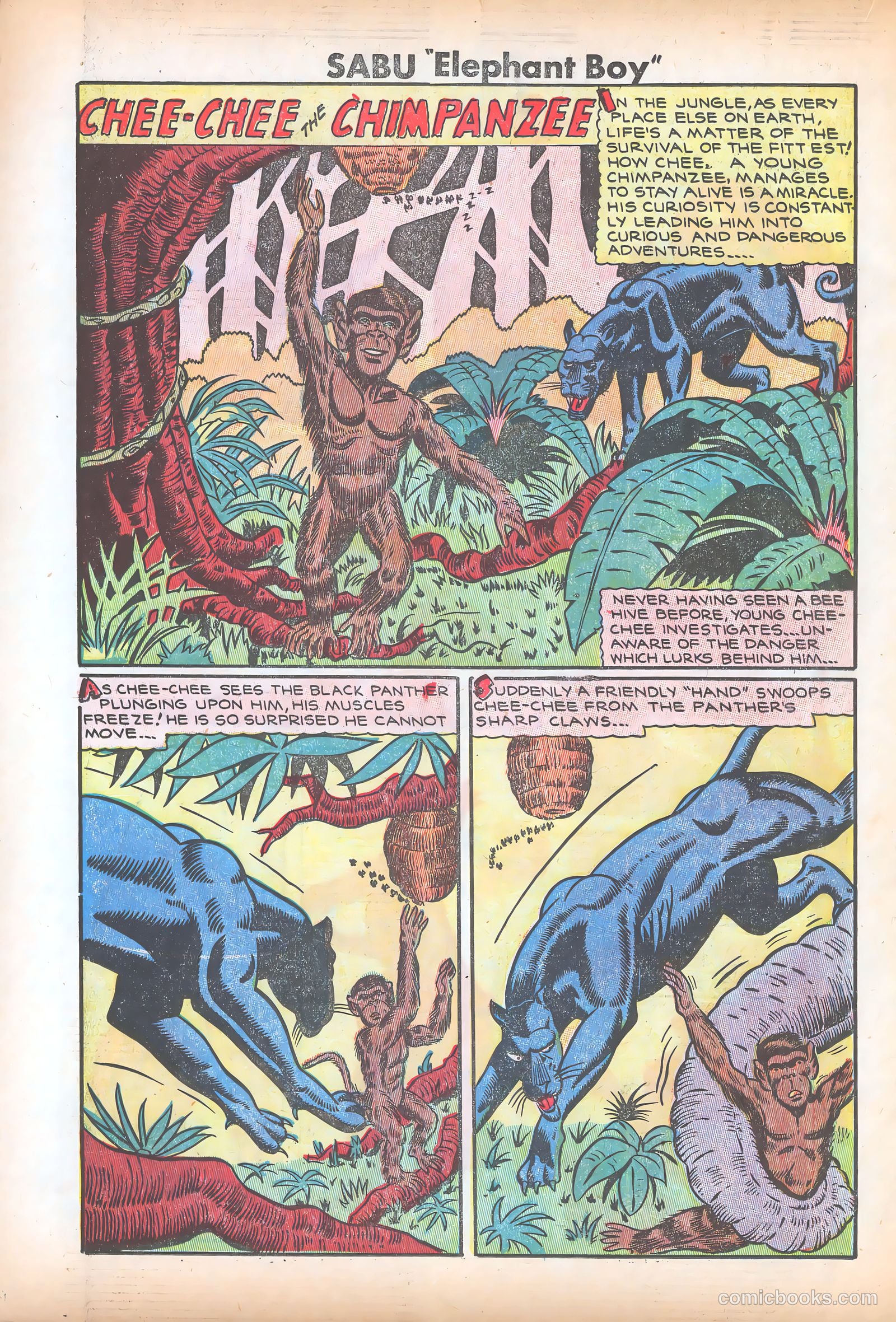 Sabu "Elephant Boy" #30 — page 18 of 36