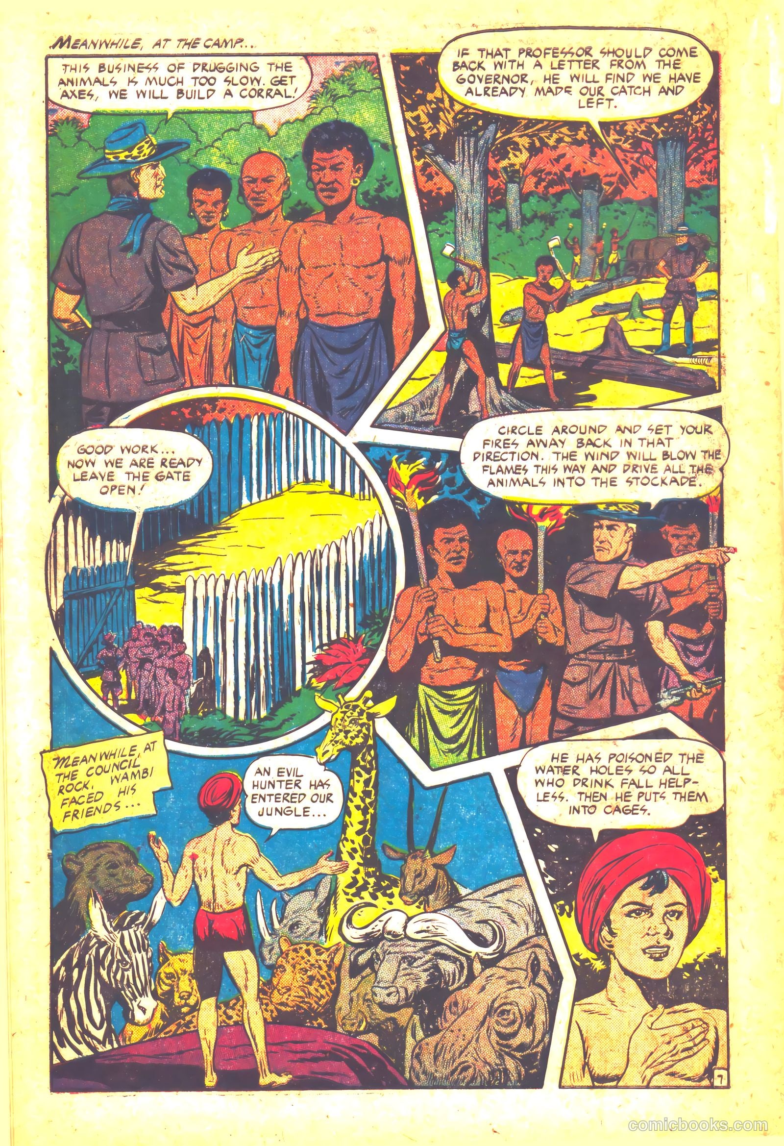 Wambi #12 — page 9 of 35