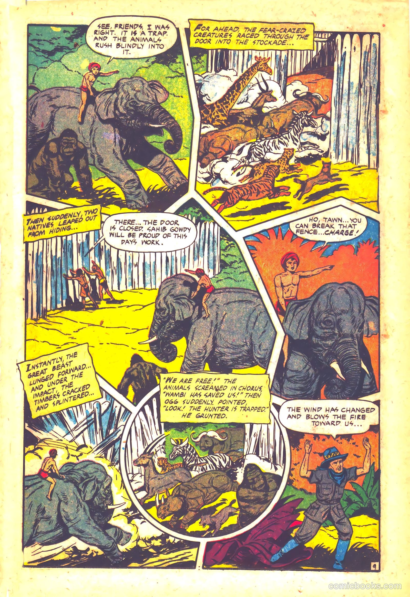 Wambi #12 — page 11 of 35