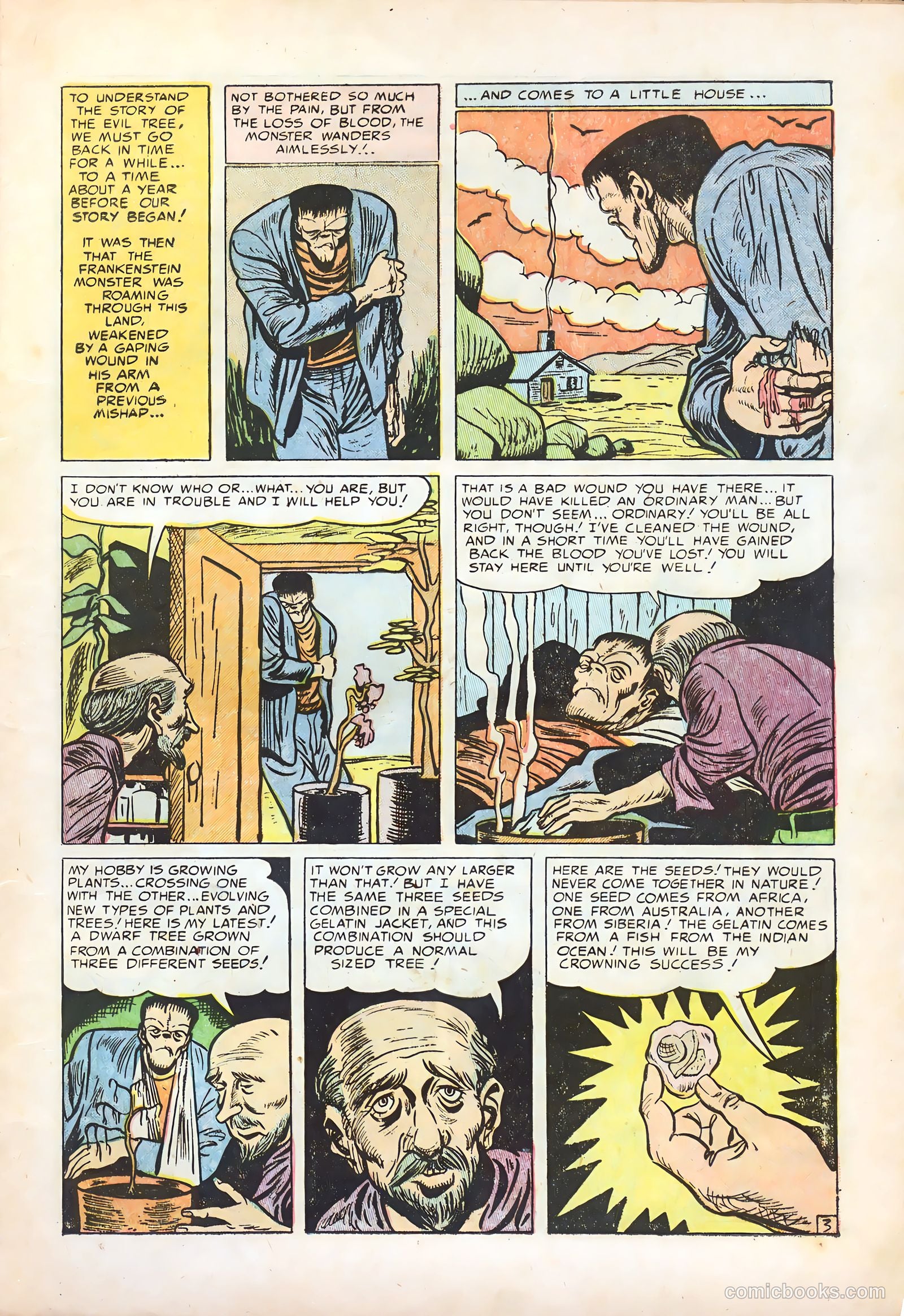 Frankenstein #31 — page 5 of 36