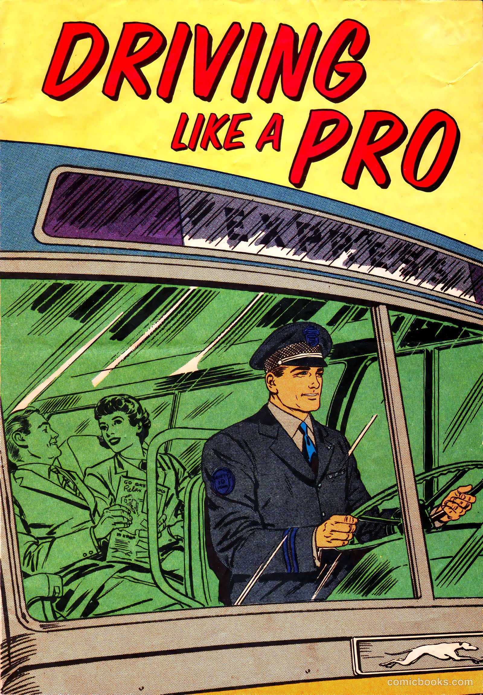 Driving Like a Pro #nn — page 1 of 15
