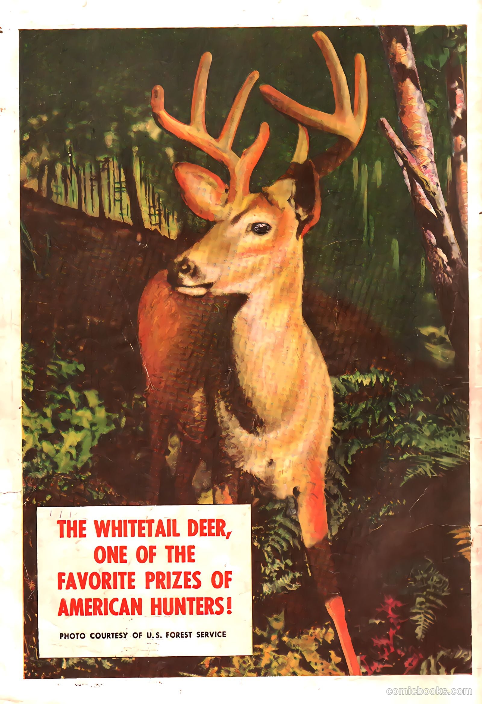 Bob Swift #3 — page 36 of 36
