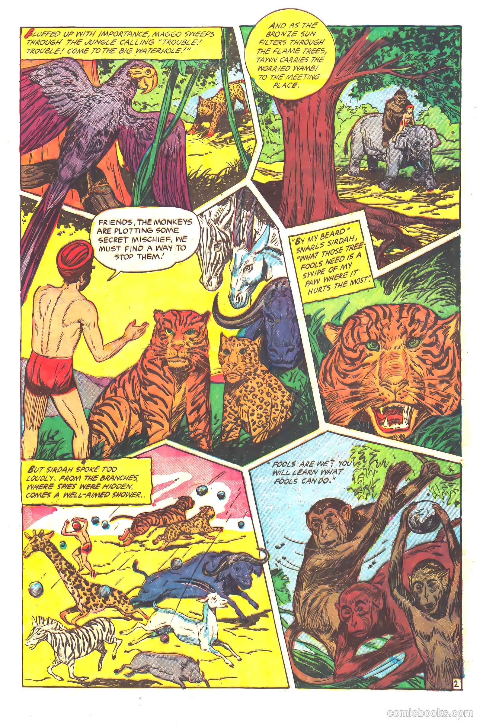 Wambi #16 — page 5 of 36