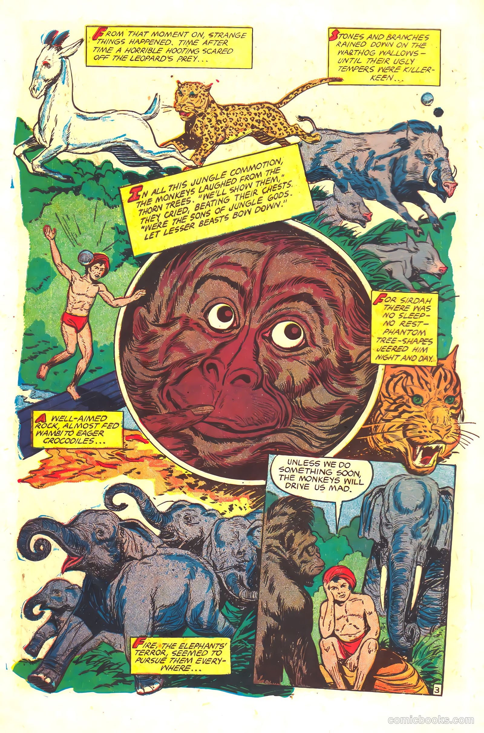 Wambi #16 — page 6 of 36