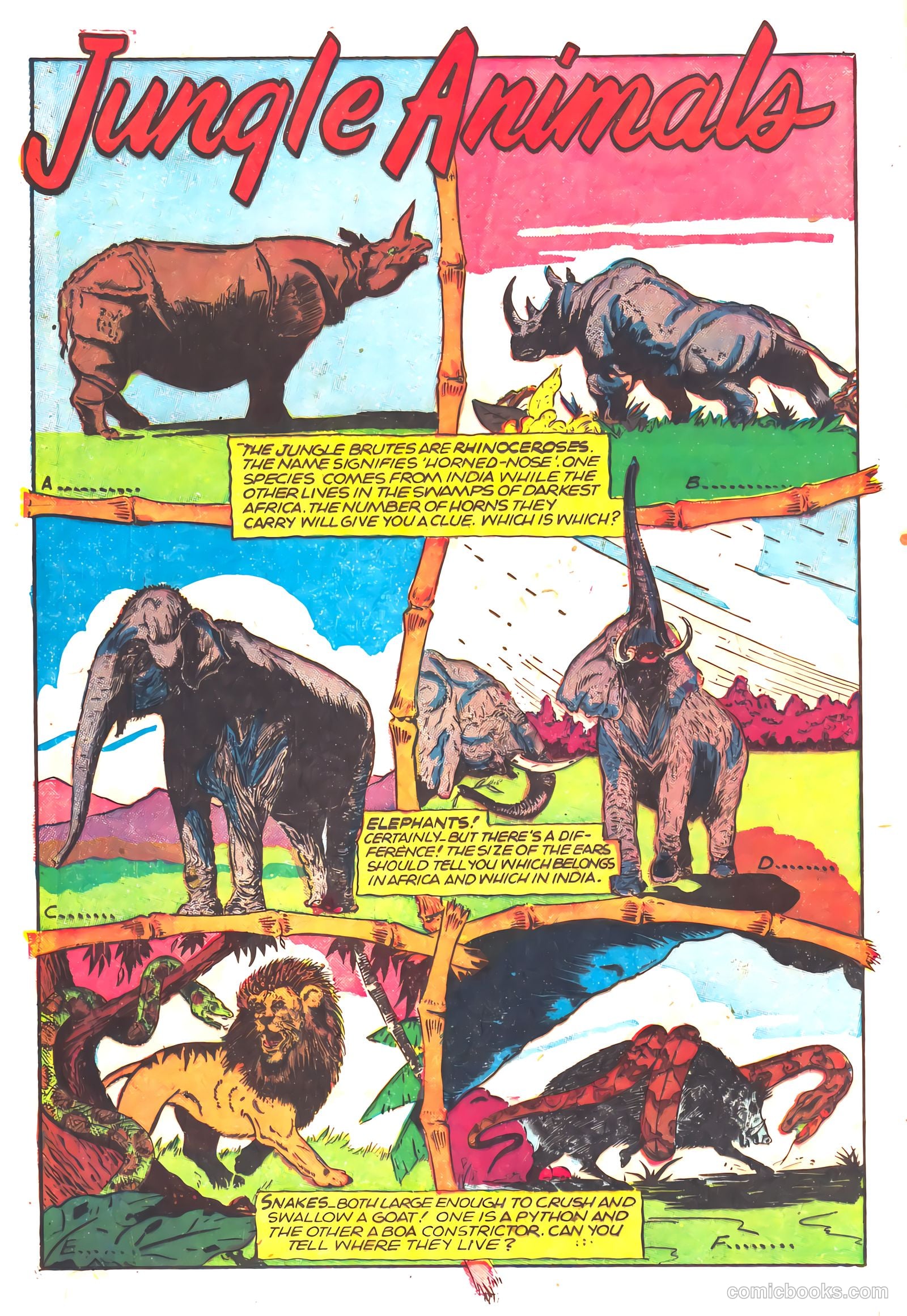 Wambi #16 — page 12 of 36