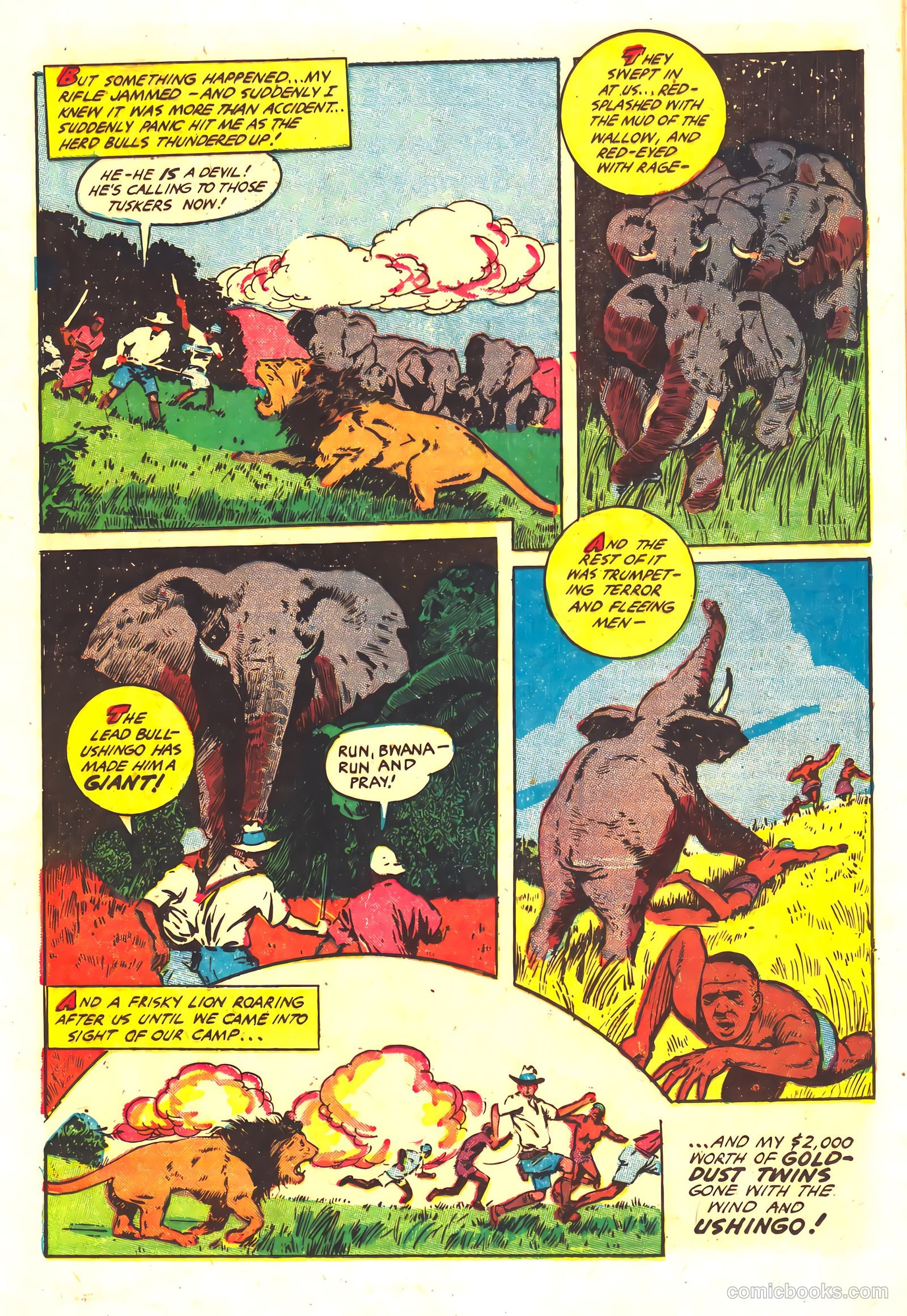 Wambi #16 — page 17 of 36