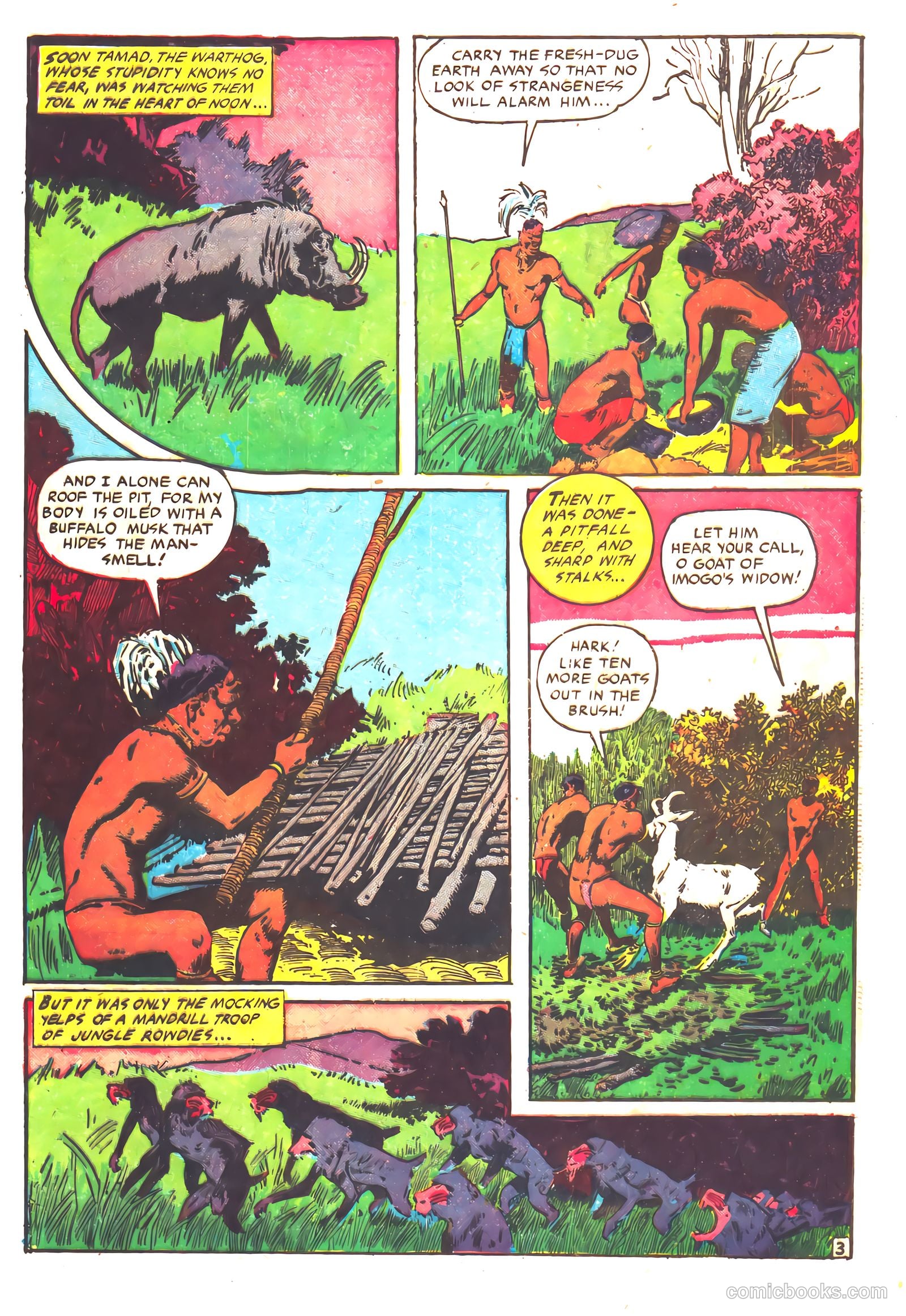 Wambi #16 — page 29 of 36