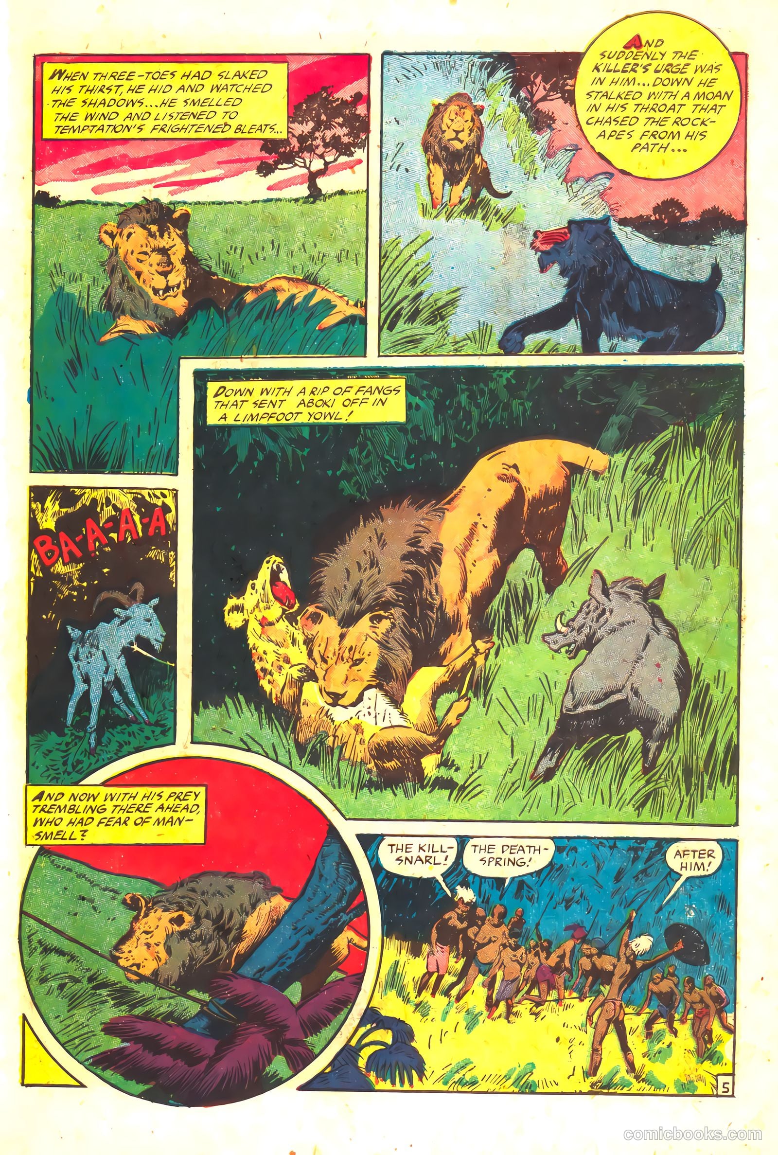 Wambi #16 — page 31 of 36