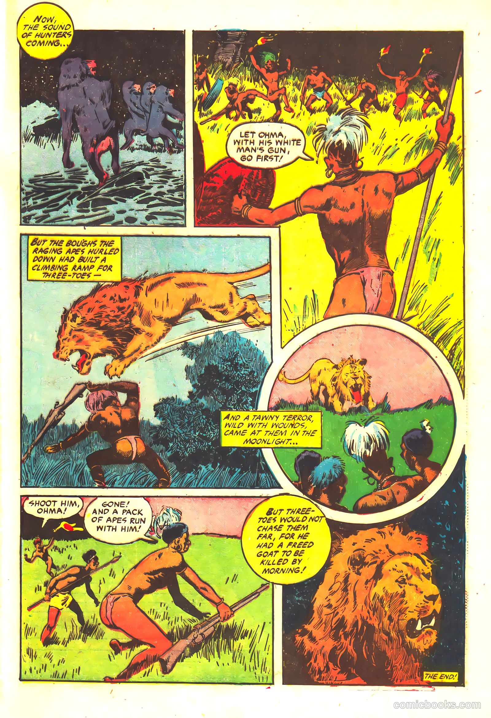 Wambi #16 — page 33 of 36