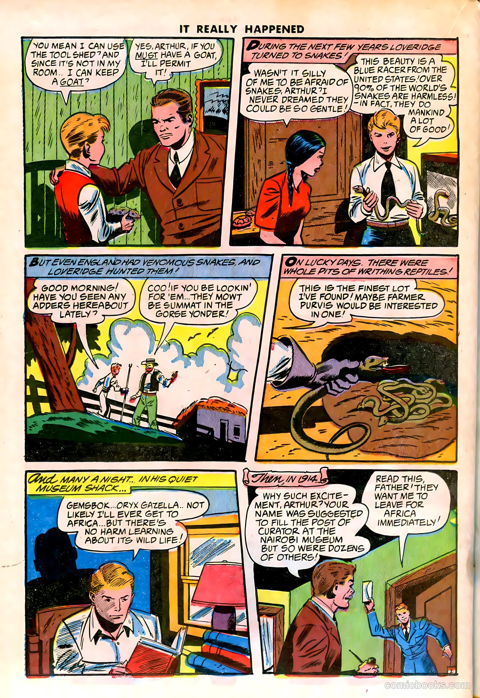 It Really Happened #4 — page 34 of 52