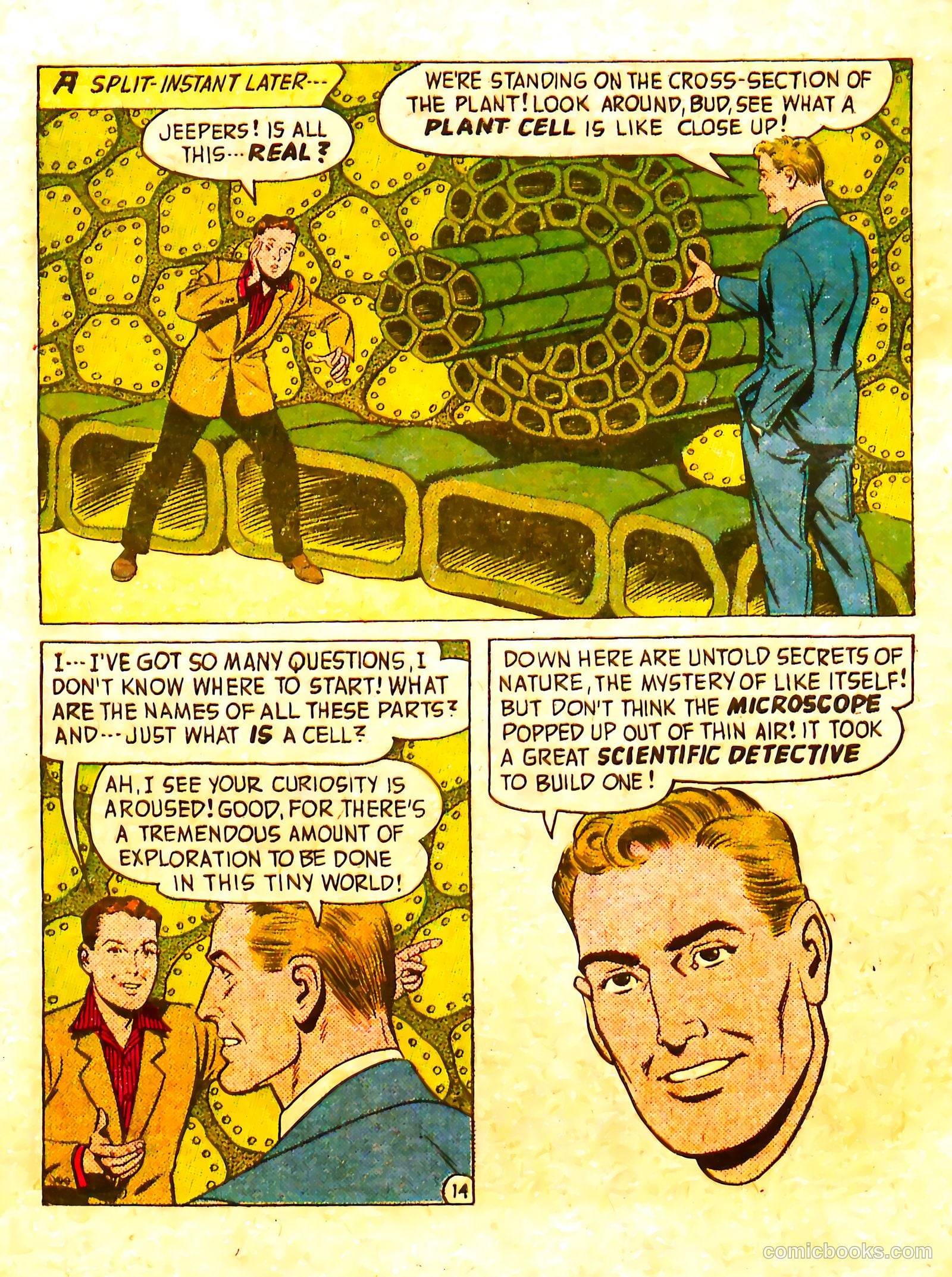 Adventures in Science #nn — page 19 of 35