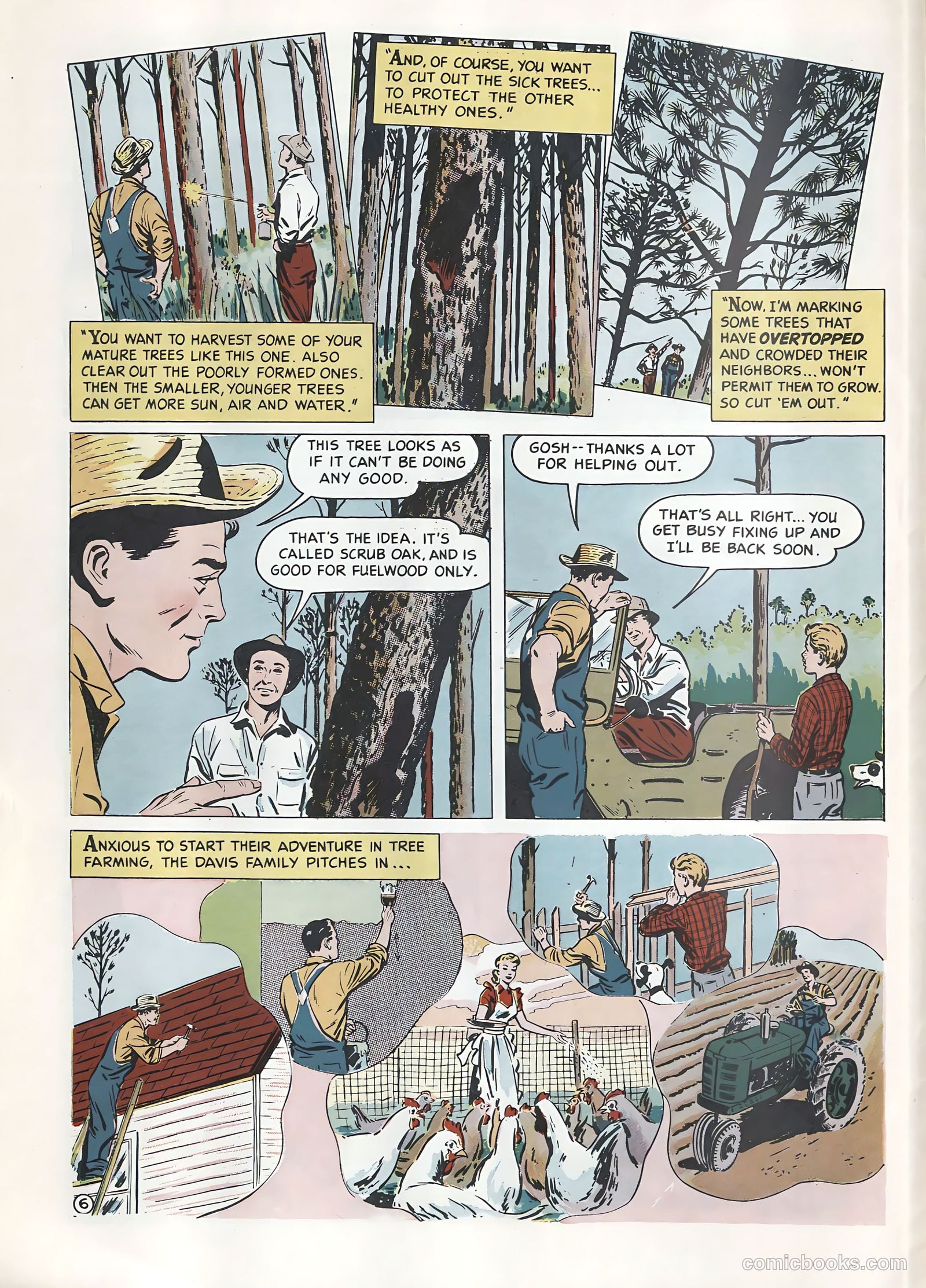 How Money Grows on Trees #nn — page 6 of 22