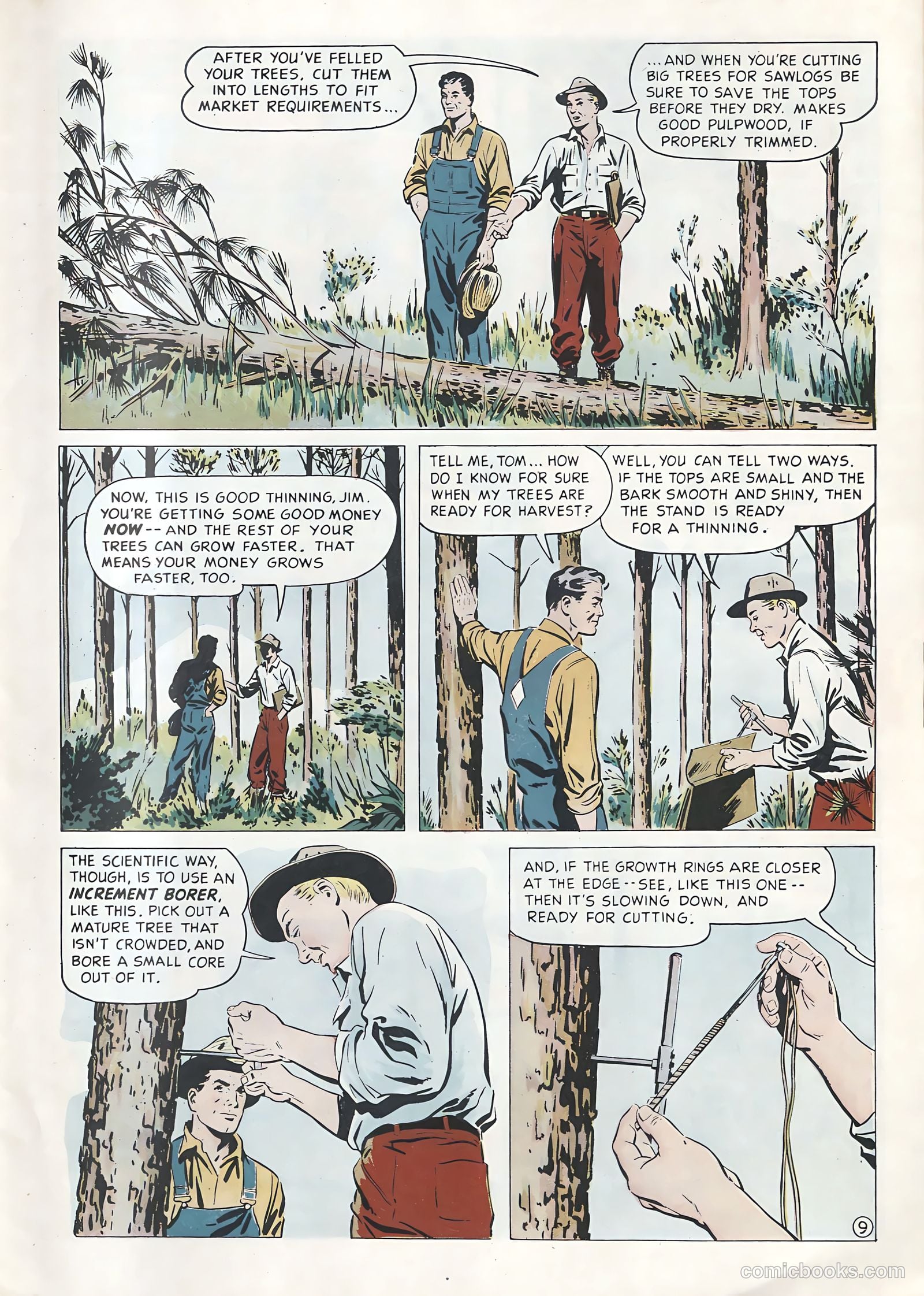 How Money Grows on Trees #nn — page 9 of 22