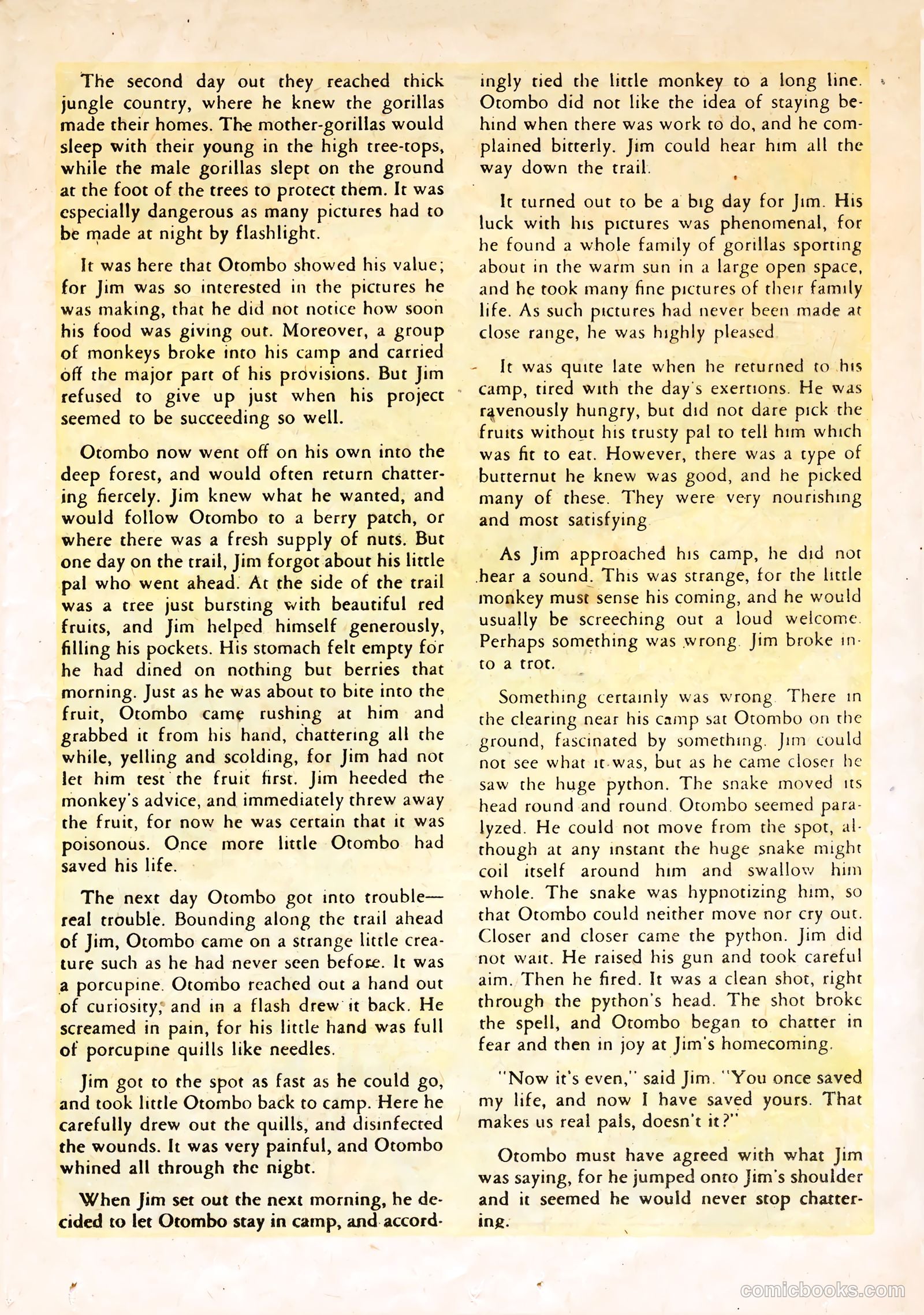 Jungle Jo #0 — page 21 of 36