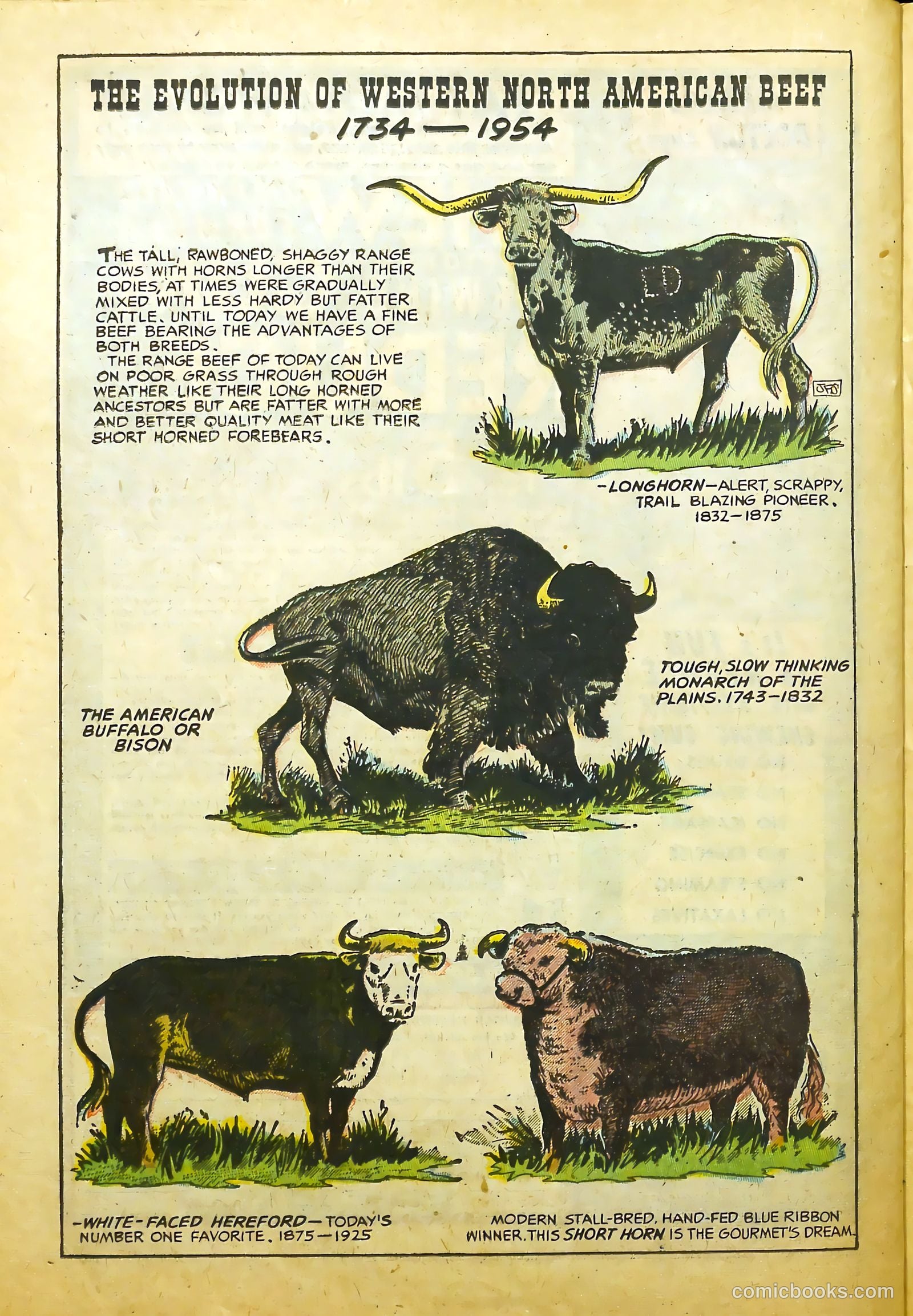 Prize Comics Western #106 — page 22 of 36