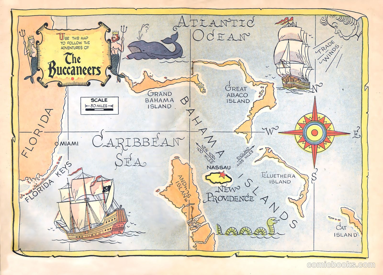 Buccaneers #nn — page 8 of 15